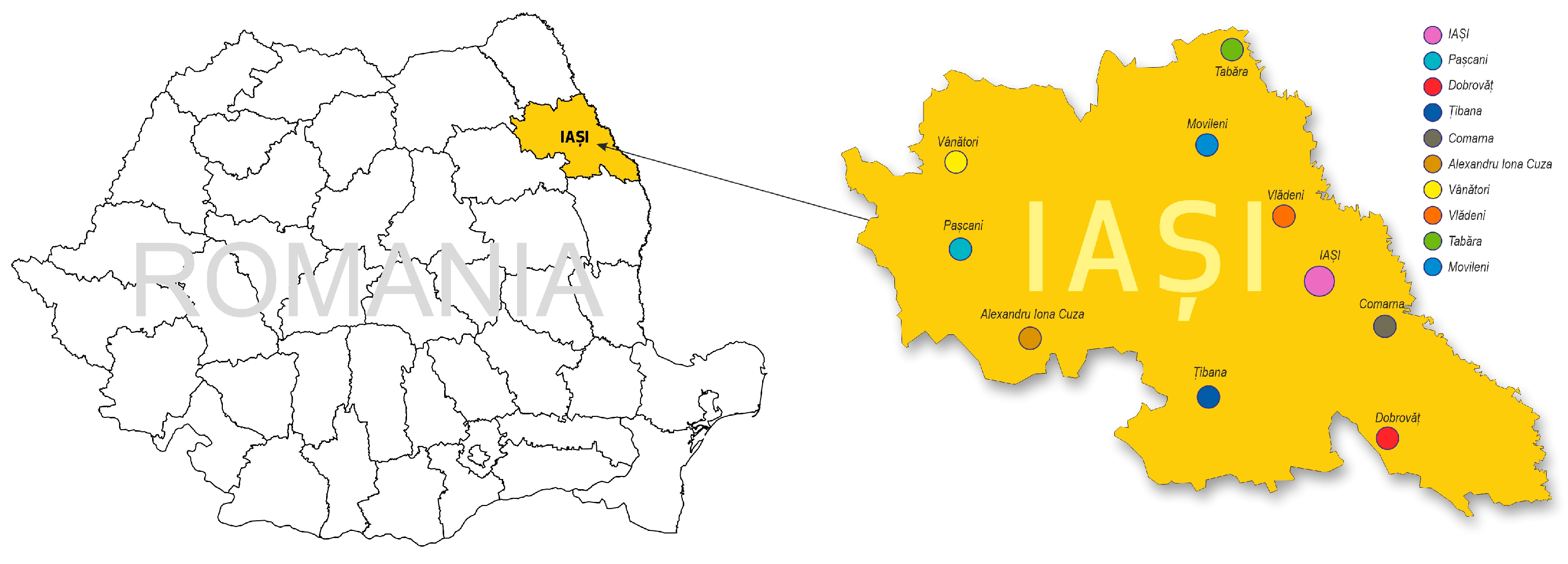 Agriculture 15 00333 g001