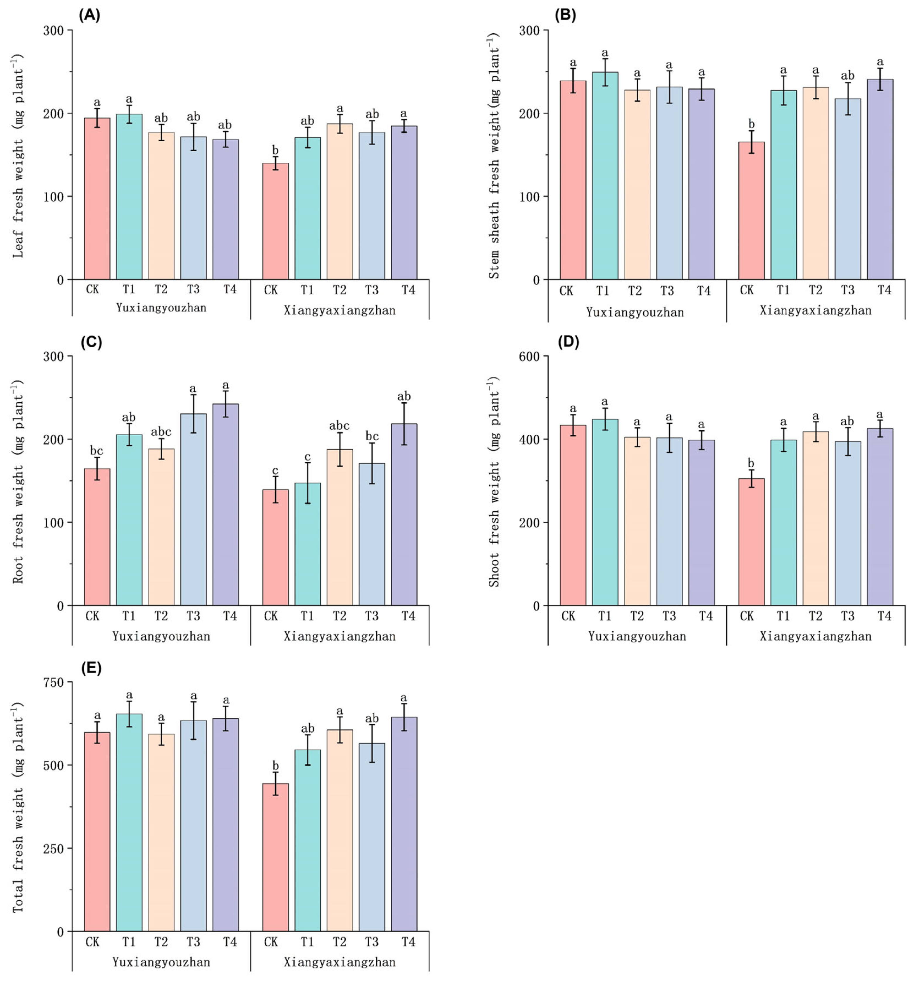 Agriculture 15 00335 g001
