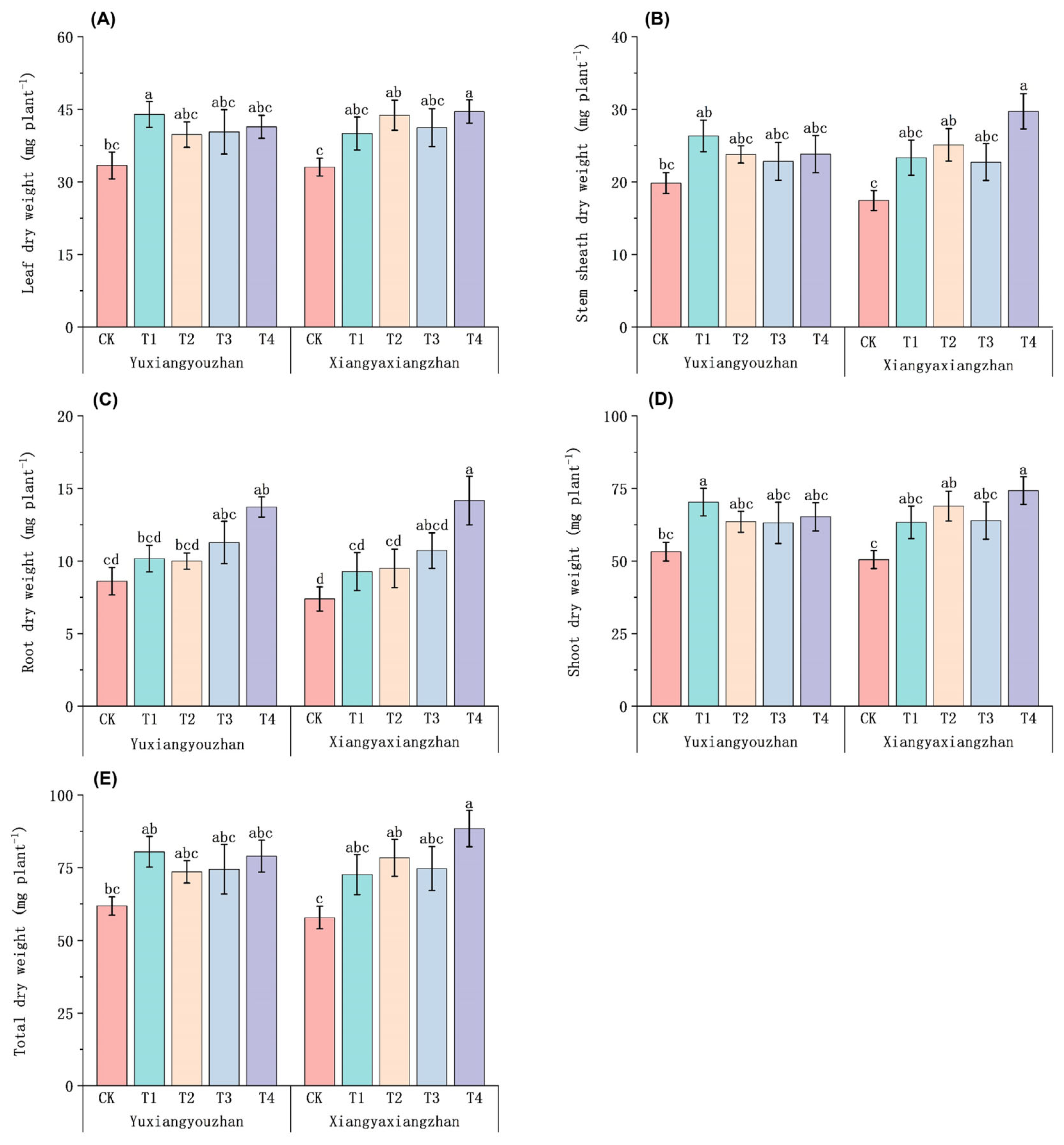 Agriculture 15 00335 g002