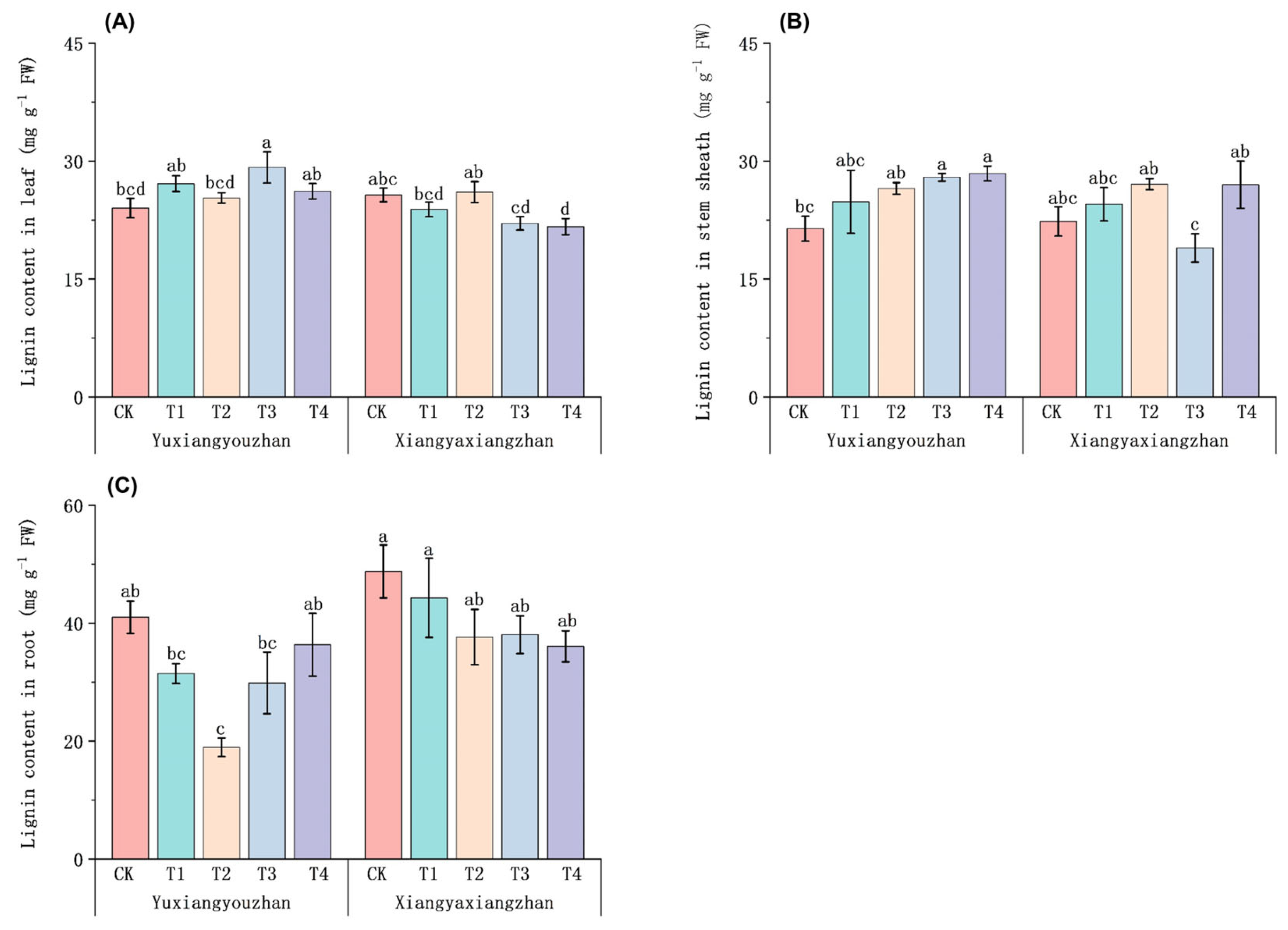 Agriculture 15 00335 g006