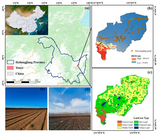 Mapping Soil Organic Matter in Black Soil Cropland Areas
