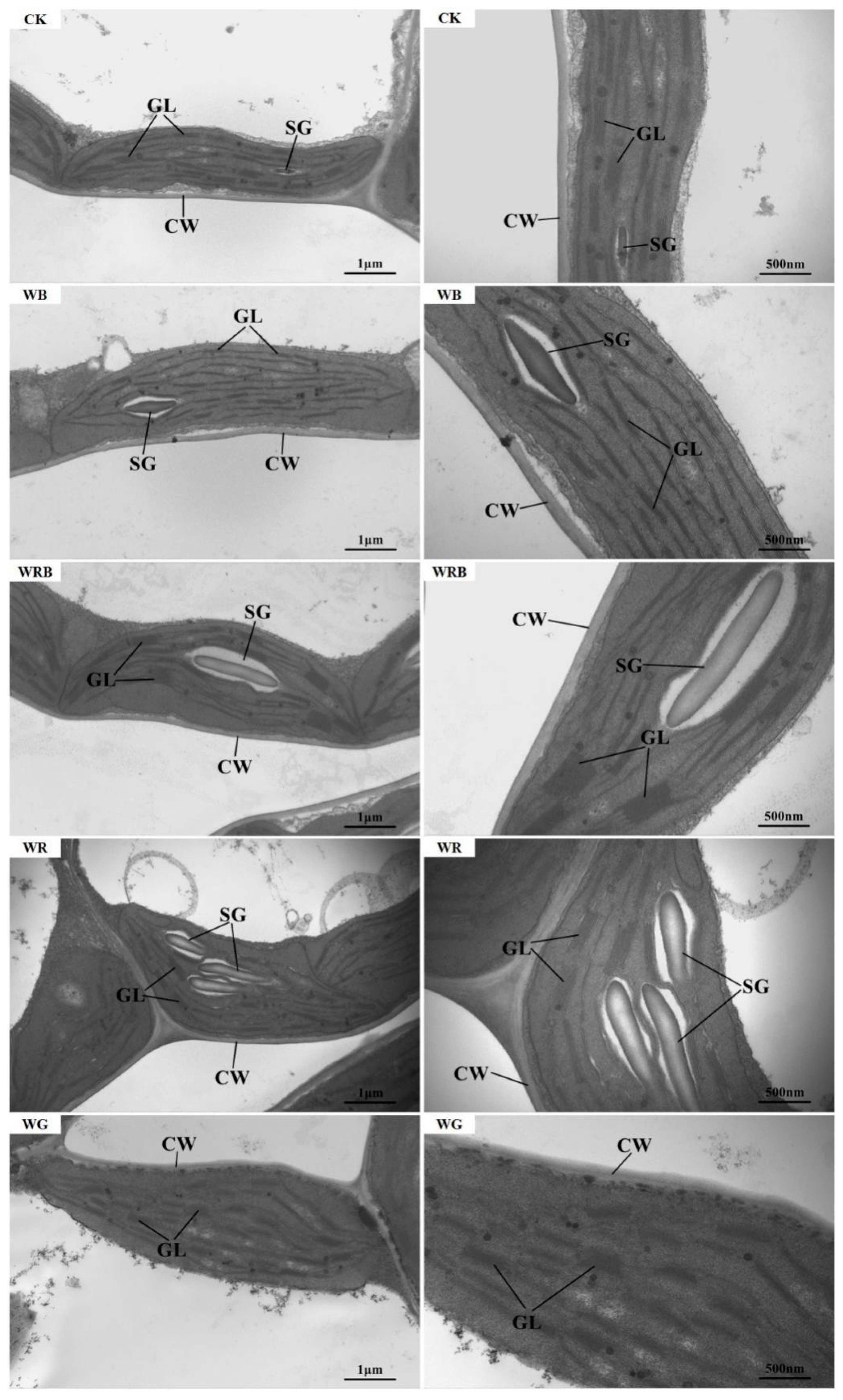 Agriculture 15 00347 g002 Agriculture 15 00347 g002