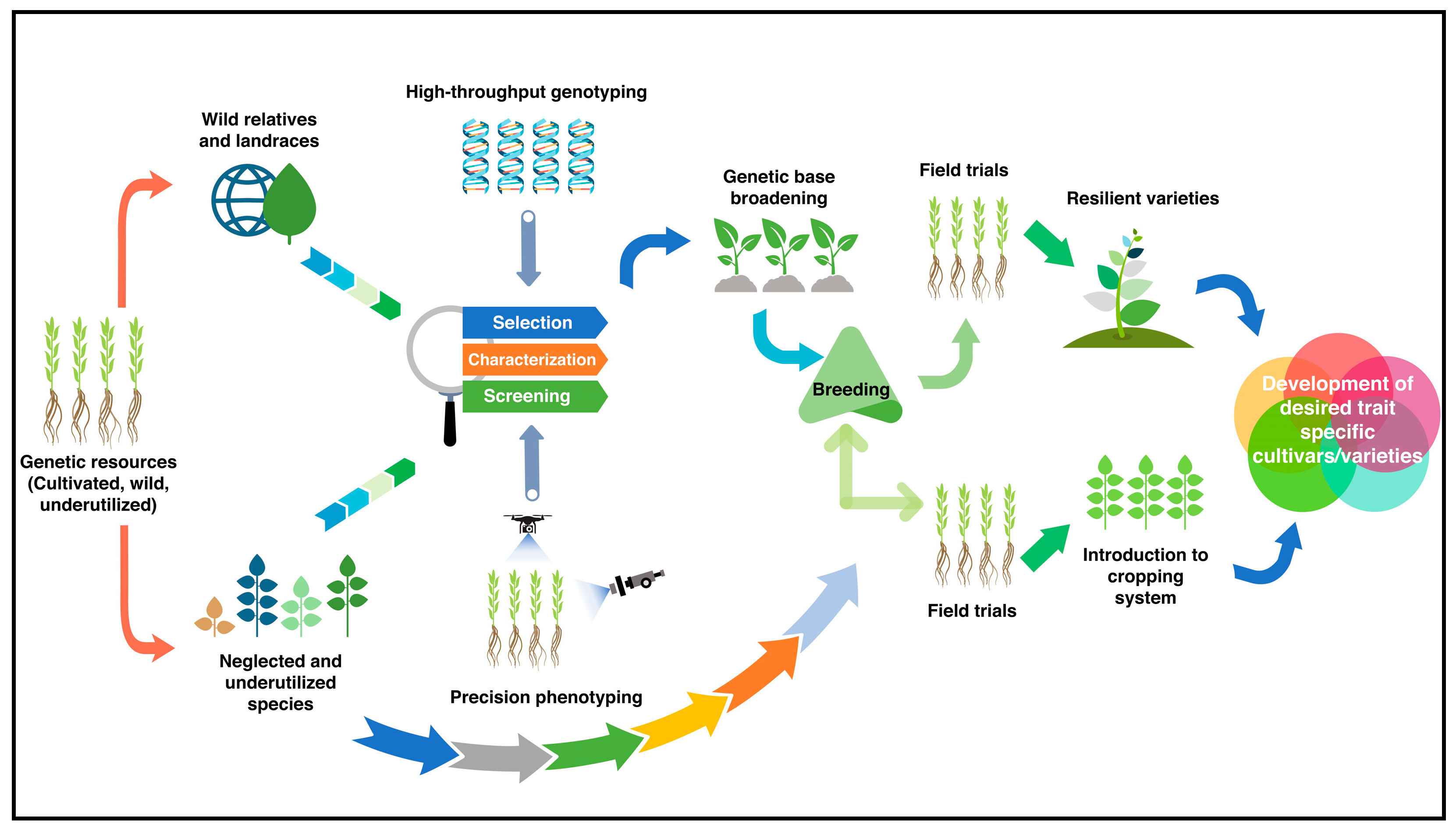 Agriculture 15 00350 g001
