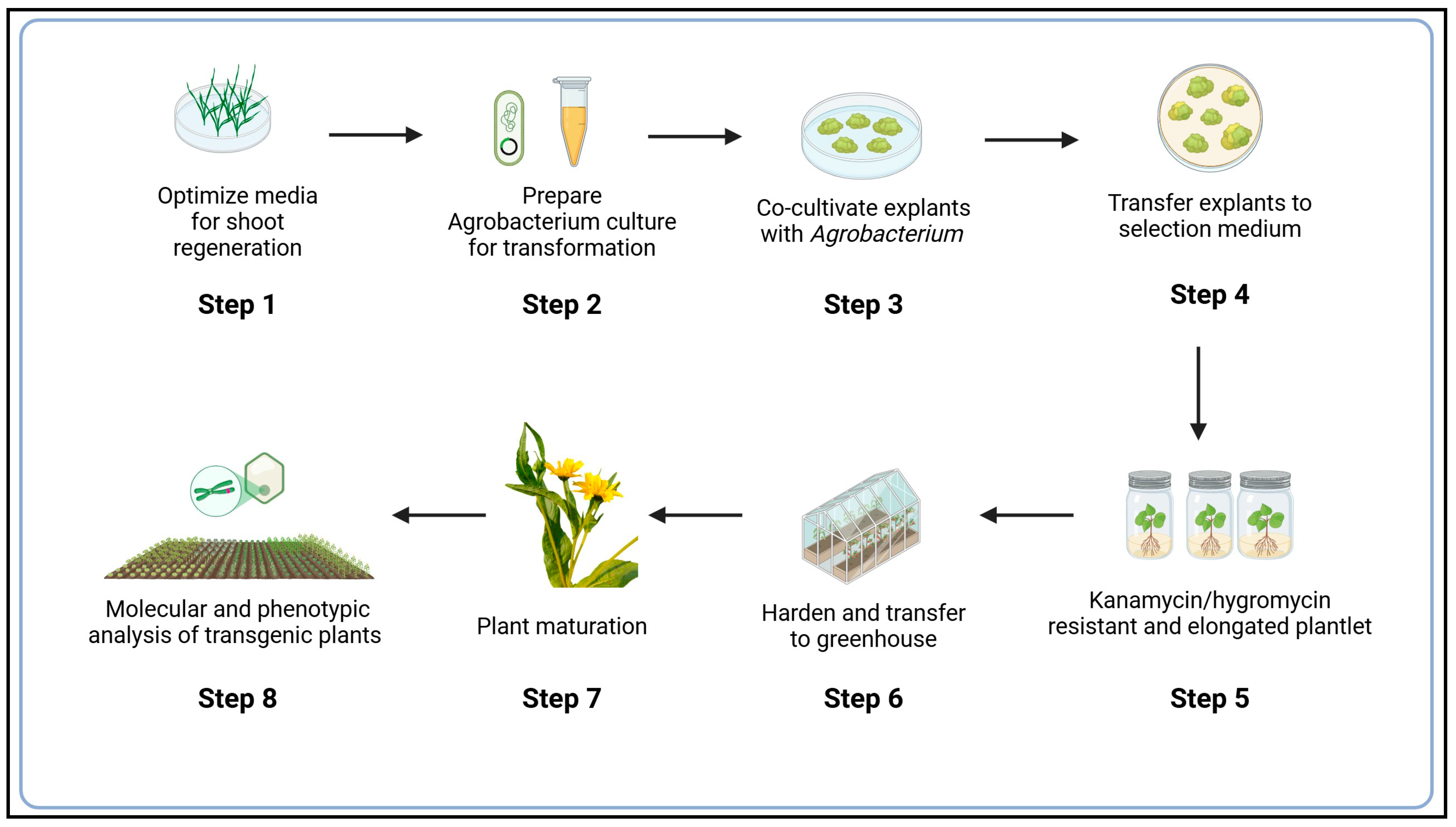 Agriculture 15 00350 g005