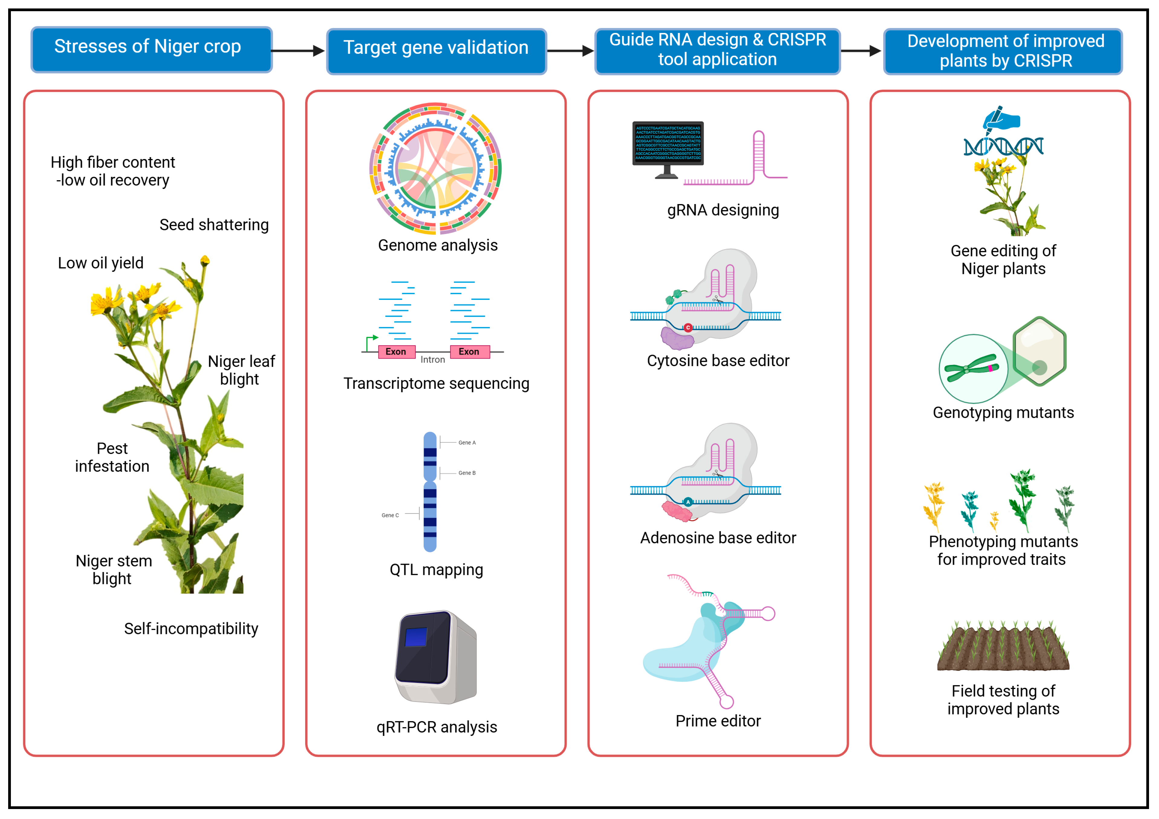 Agriculture 15 00350 g007