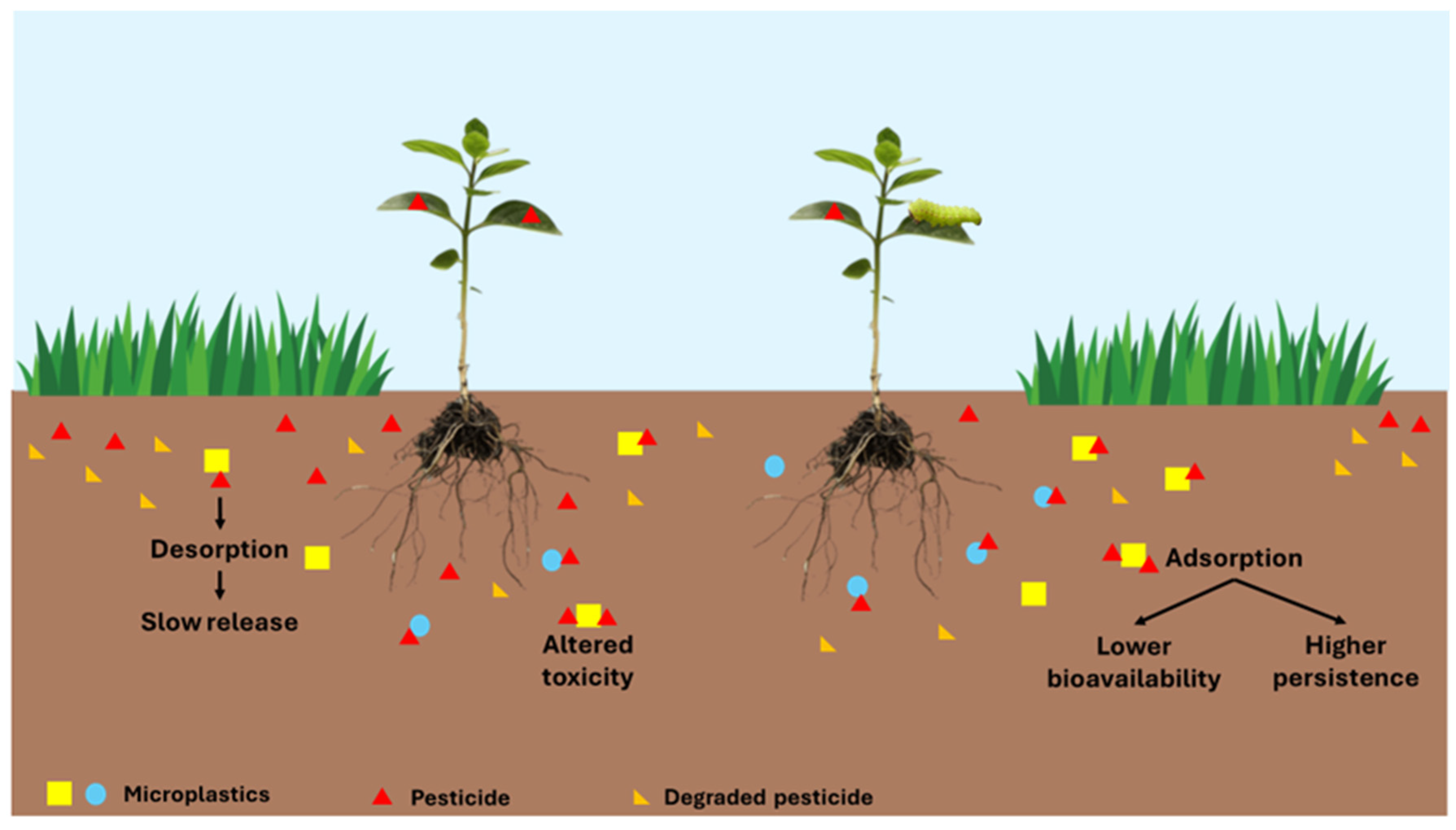 Agriculture 15 00356 g003