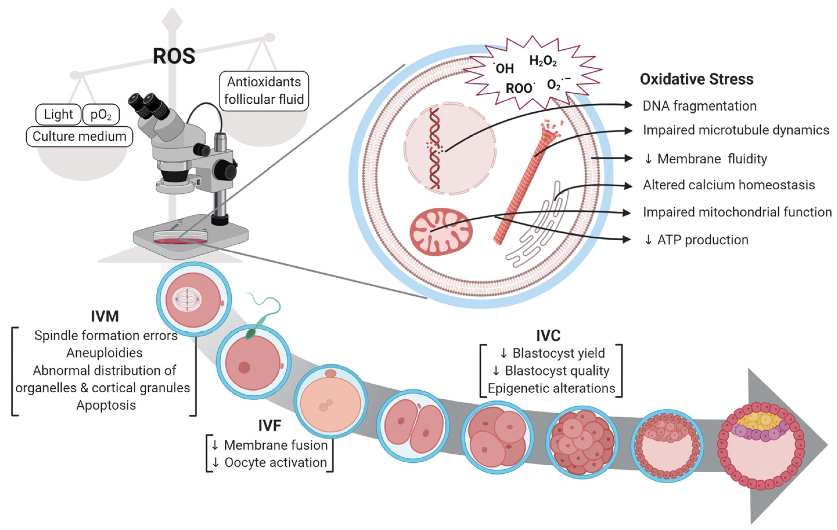Agriculture 15 00363 g001 Agriculture 15 00363 g001