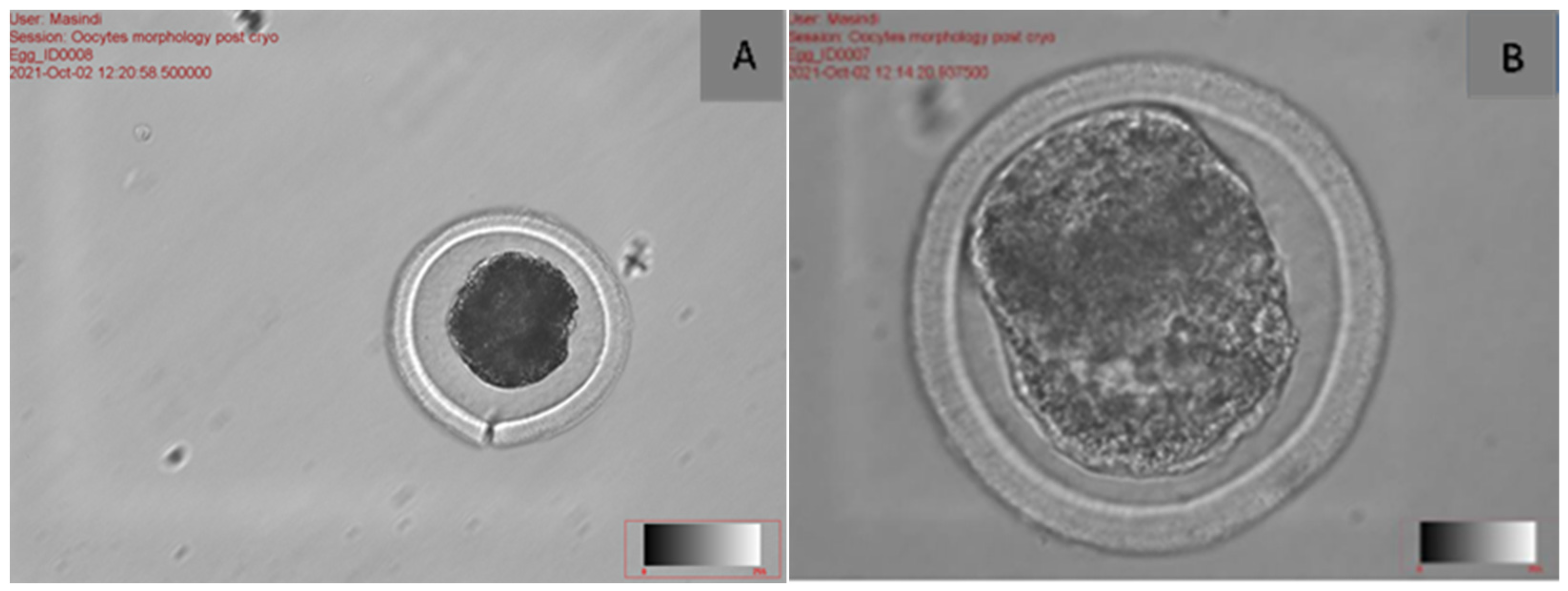 Agriculture 15 00363 g003 Agriculture 15 00363 g003