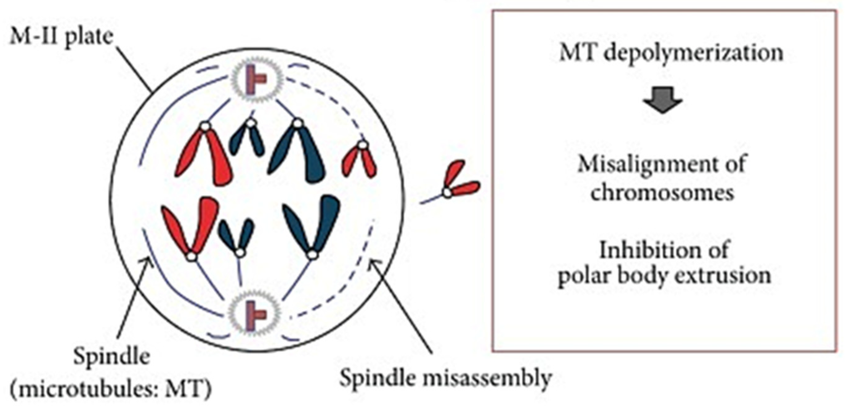 Agriculture 15 00363 g004 Agriculture 15 00363 g004