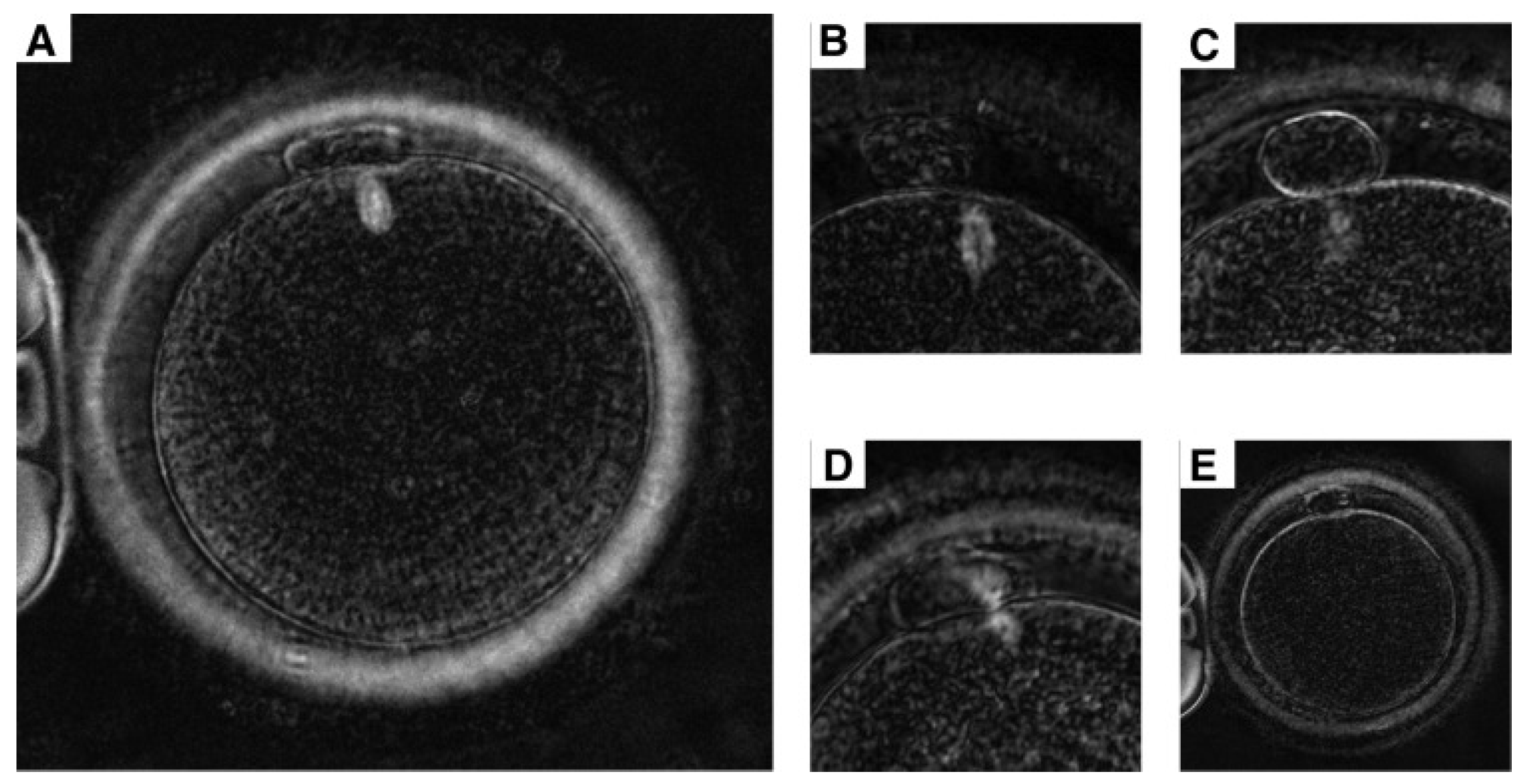 Agriculture 15 00363 g005 Agriculture 15 00363 g005
