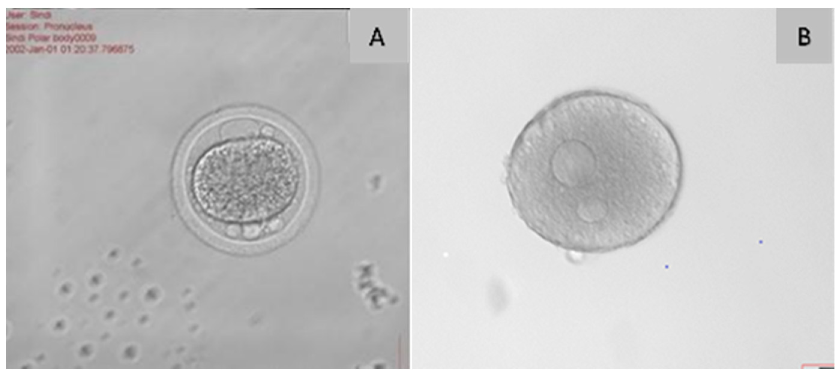 Agriculture 15 00363 g006 Agriculture 15 00363 g006