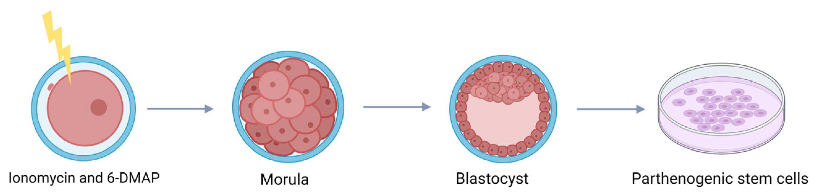 Agriculture 15 00363 g009 Agriculture 15 00363 g009