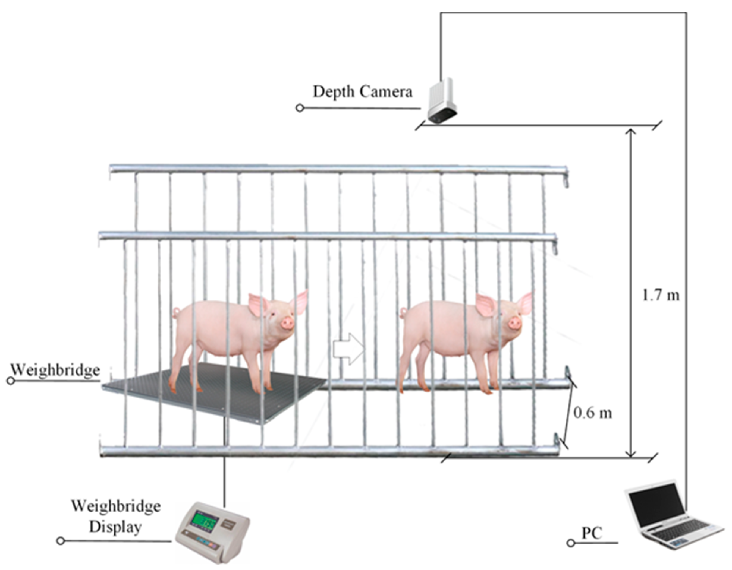 Agriculture 15 00365 g001