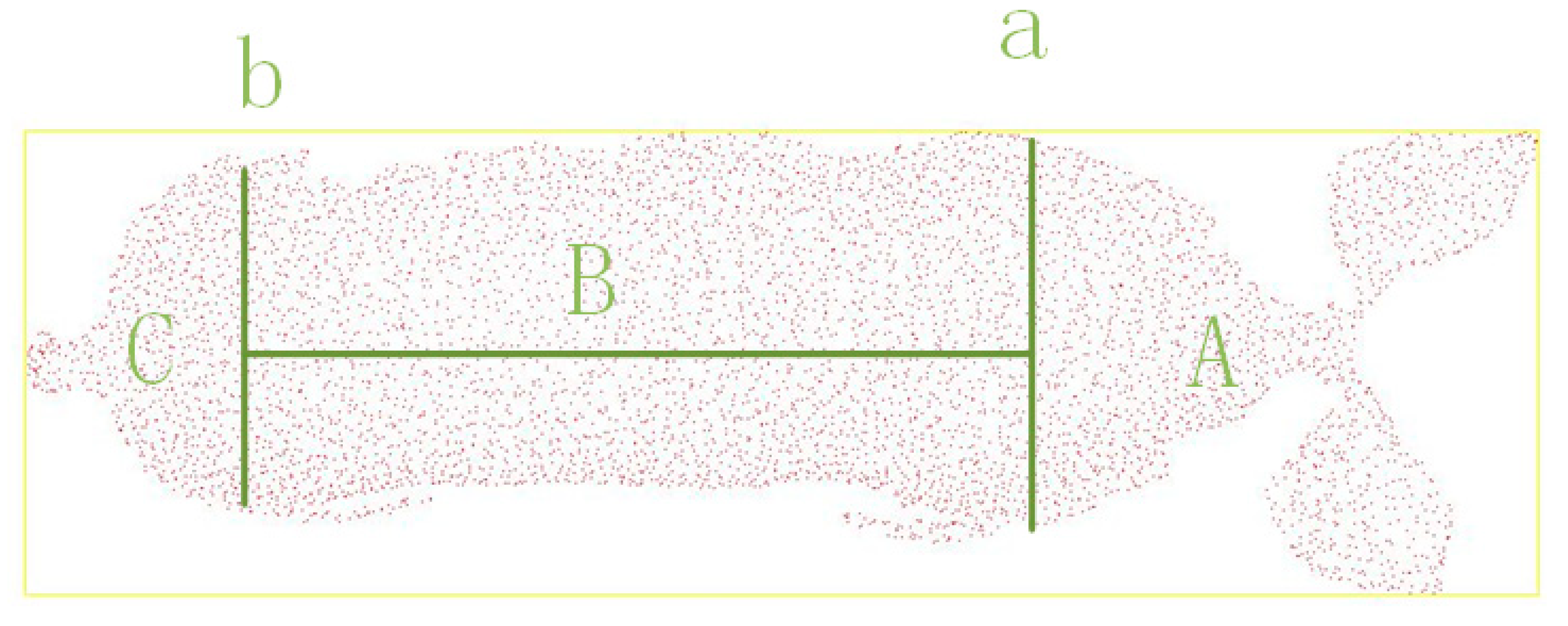 Agriculture 15 00365 g003