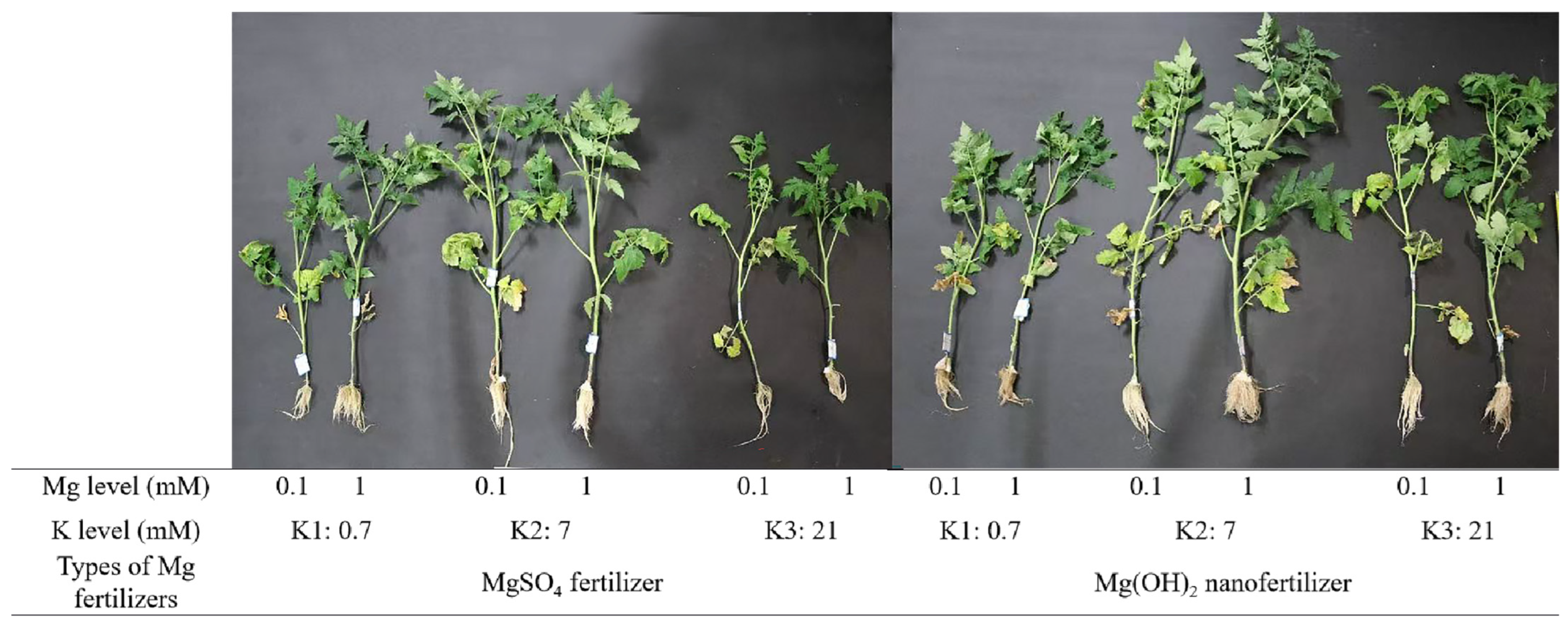 Agriculture 15 00368 g002