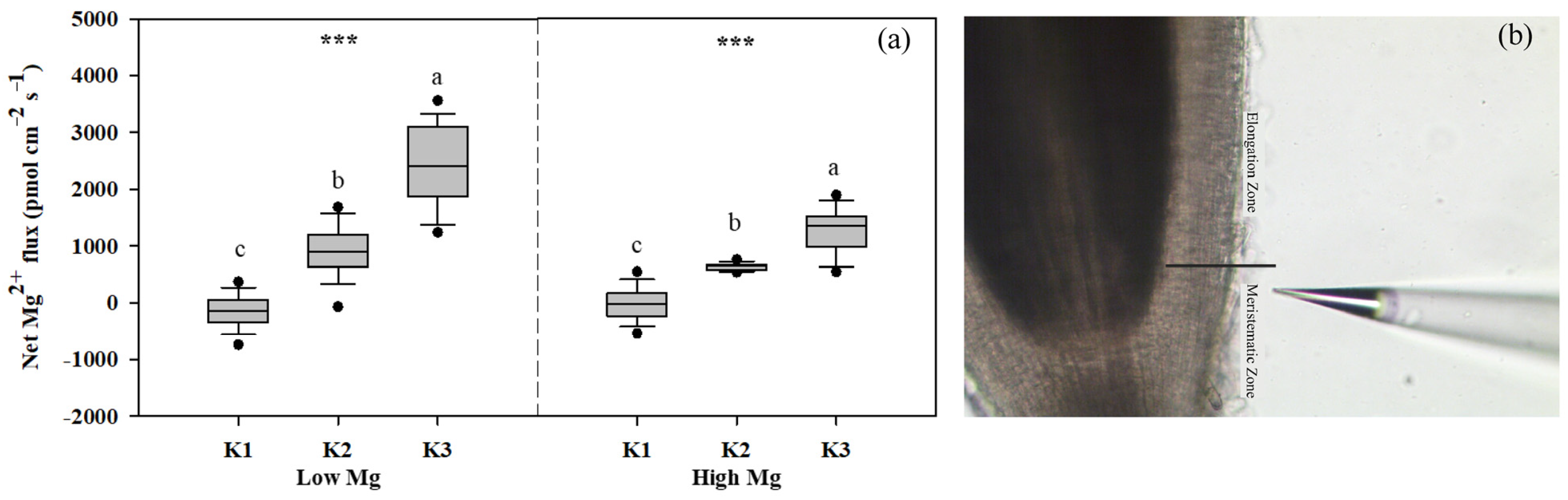 Agriculture 15 00368 g005