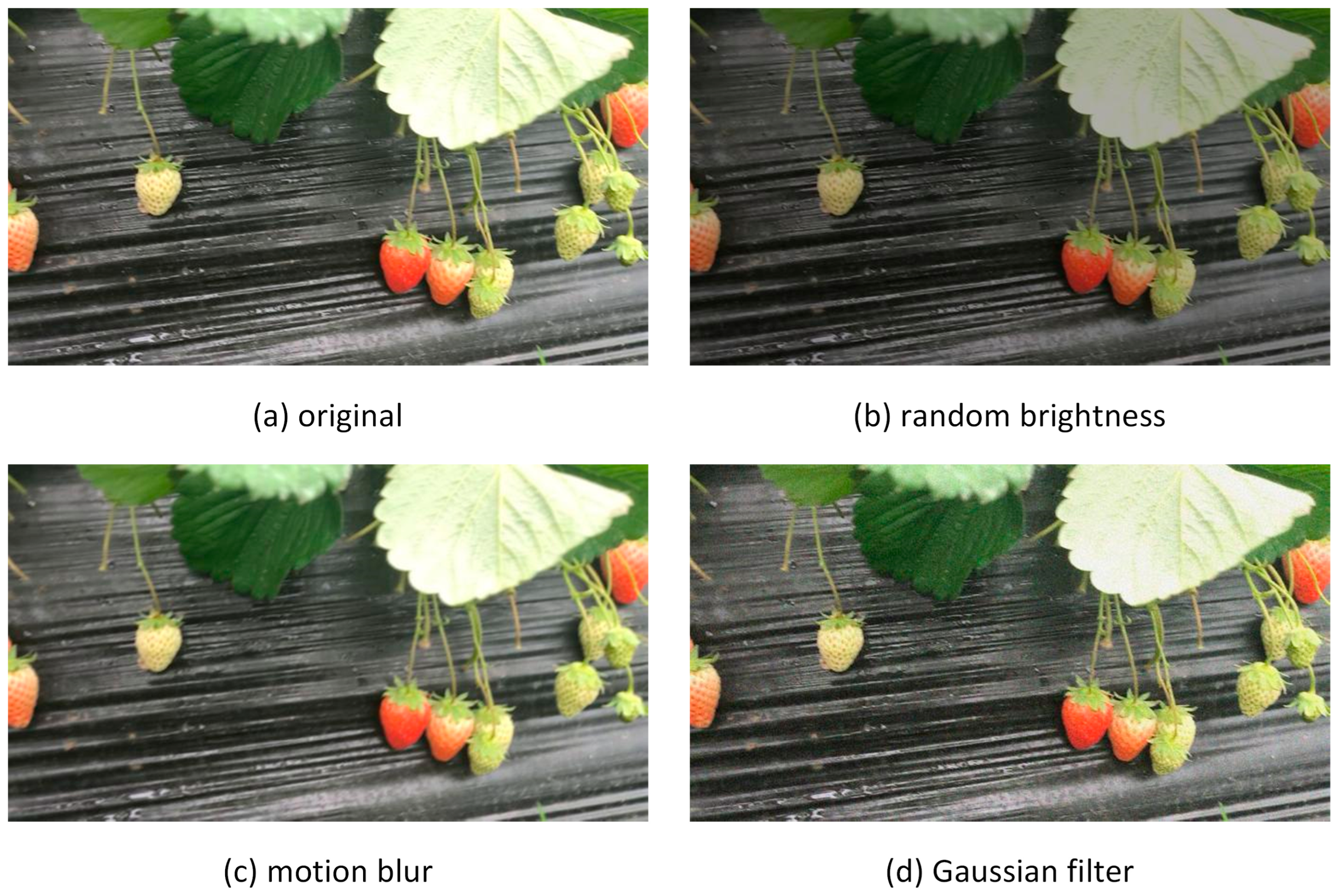 Agriculture 15 00372 g002