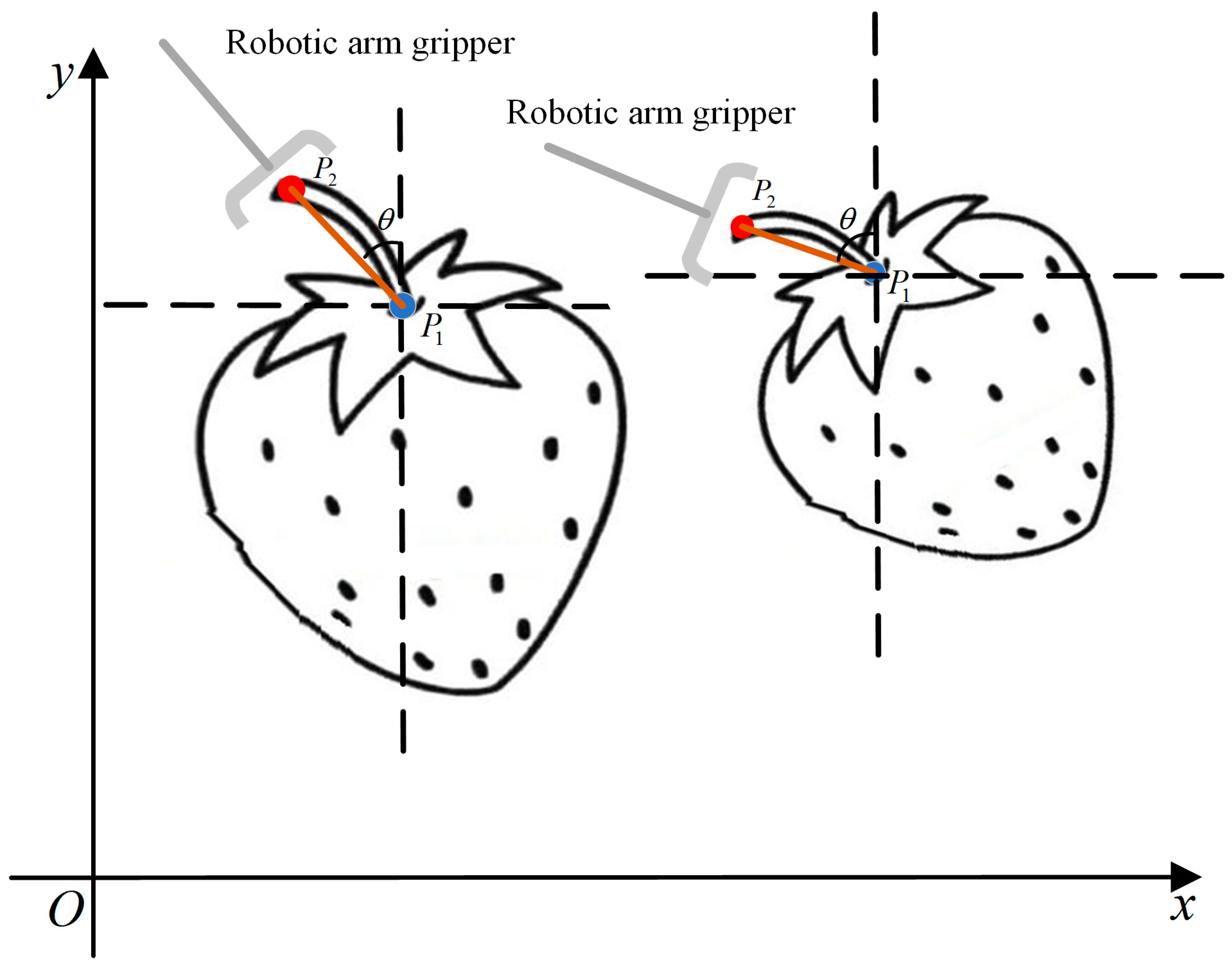 Agriculture 15 00372 g003