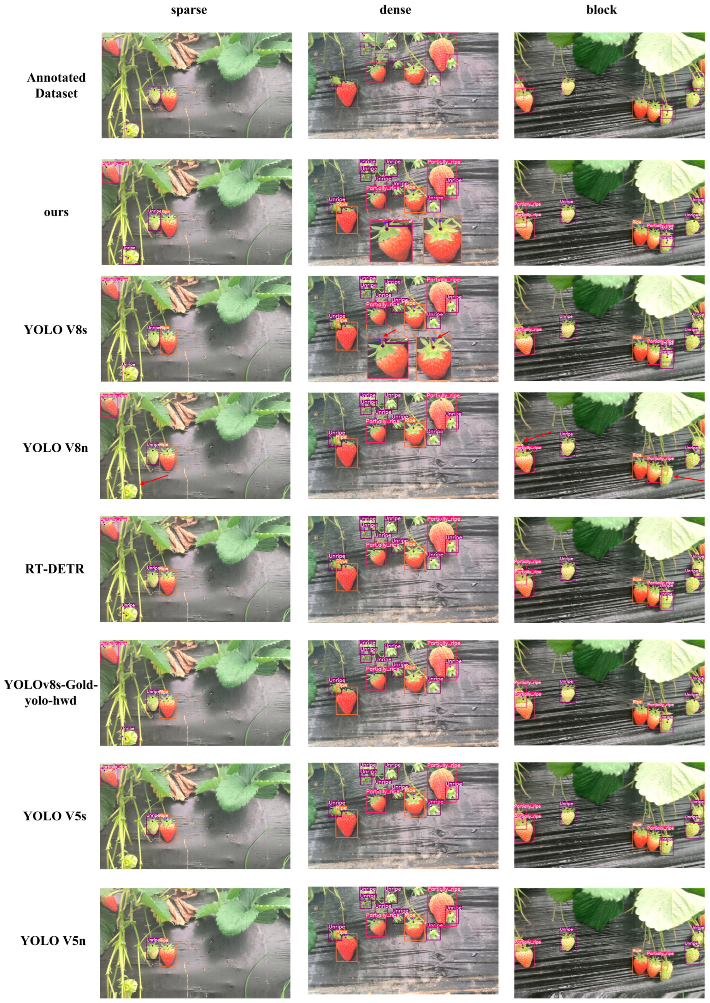 Agriculture 15 00372 g008