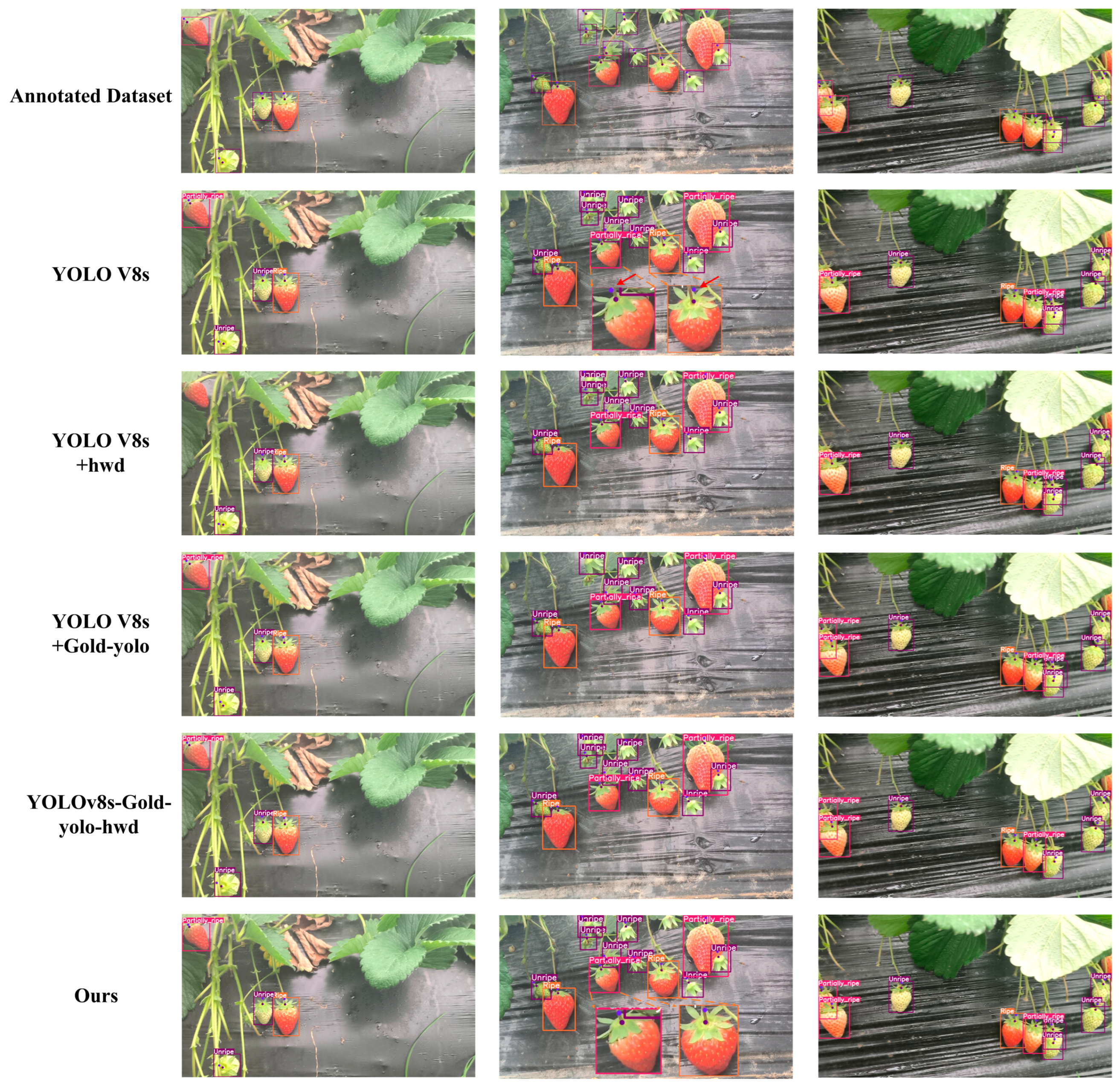 Agriculture 15 00372 g009