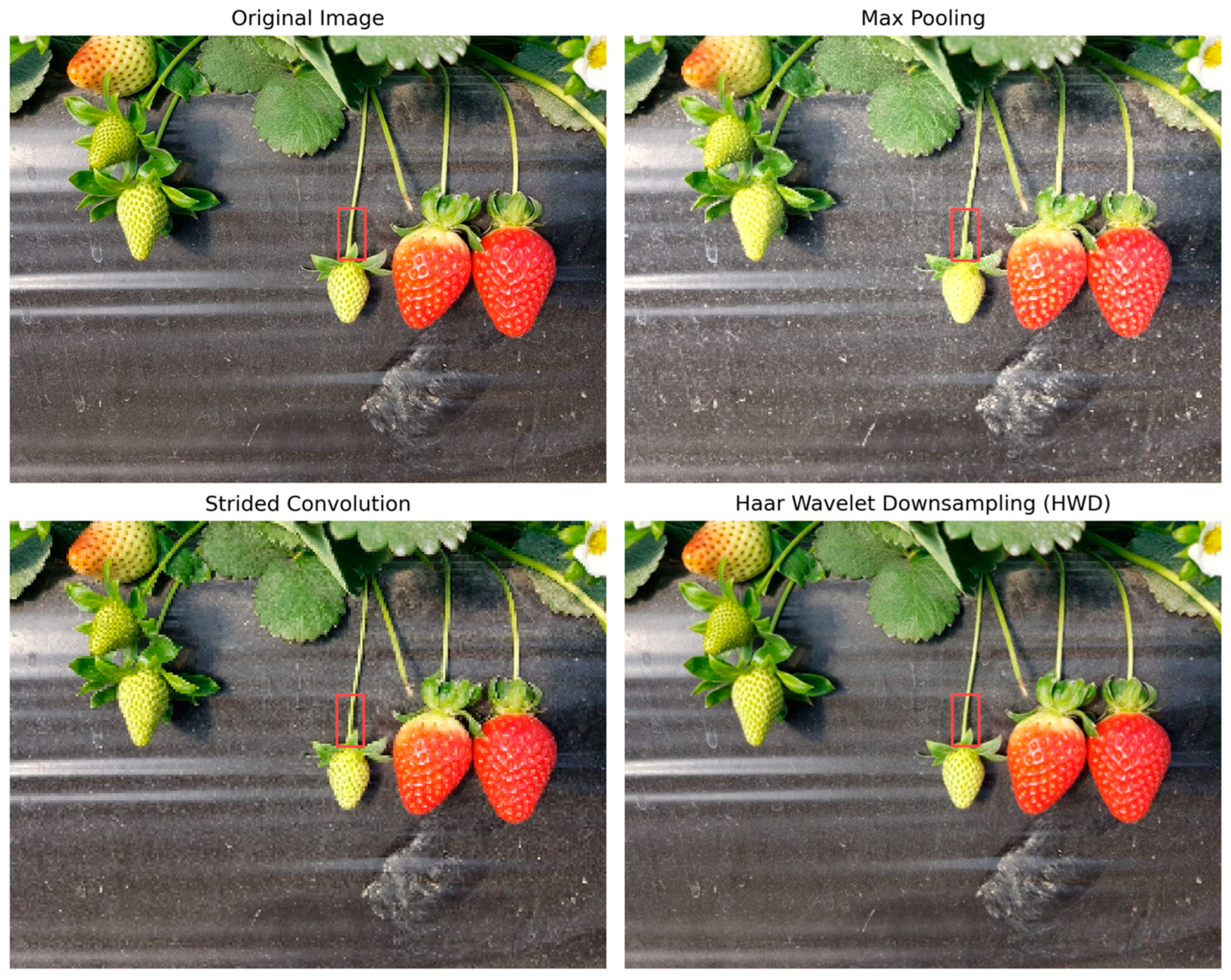 Agriculture 15 00372 g010