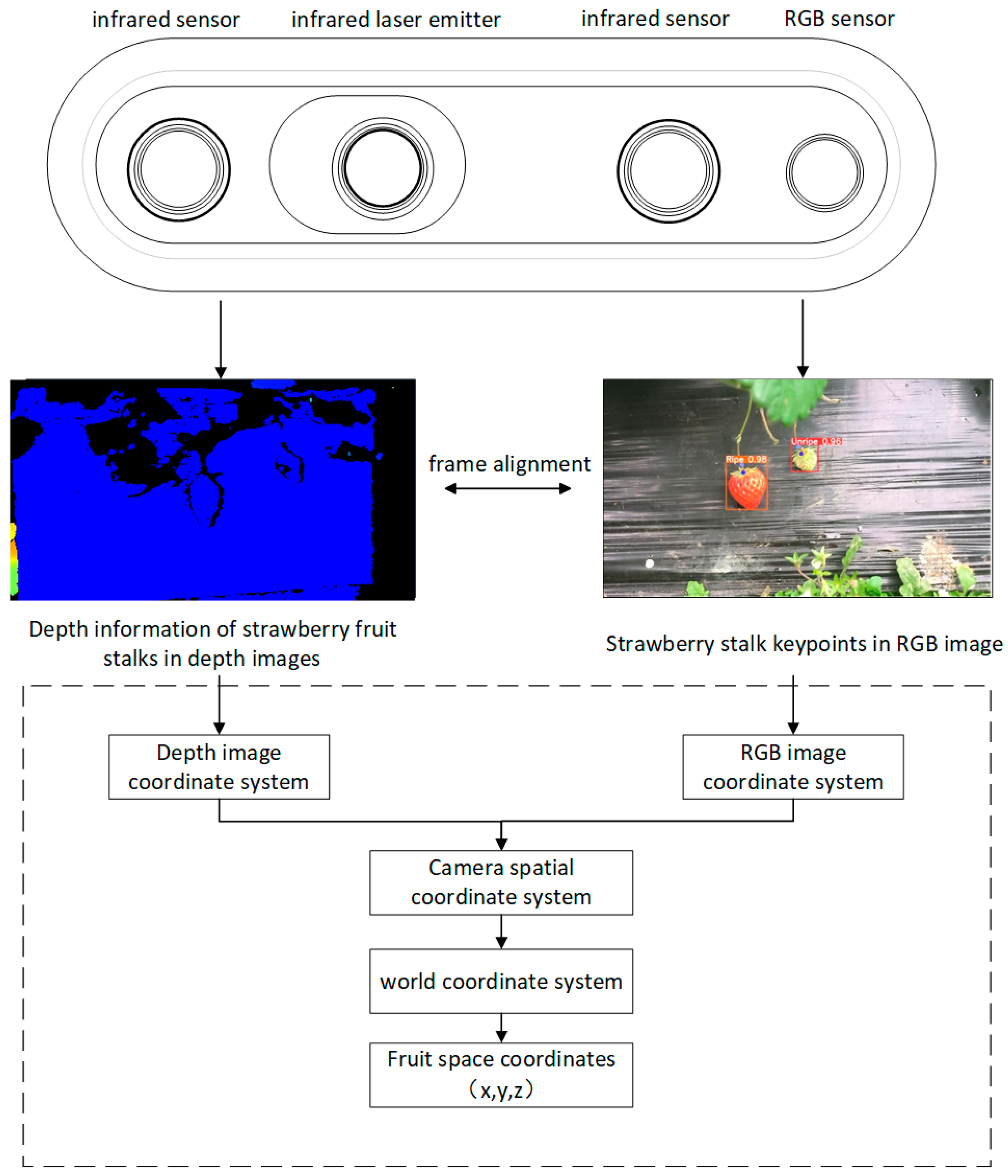 Agriculture 15 00372 g011