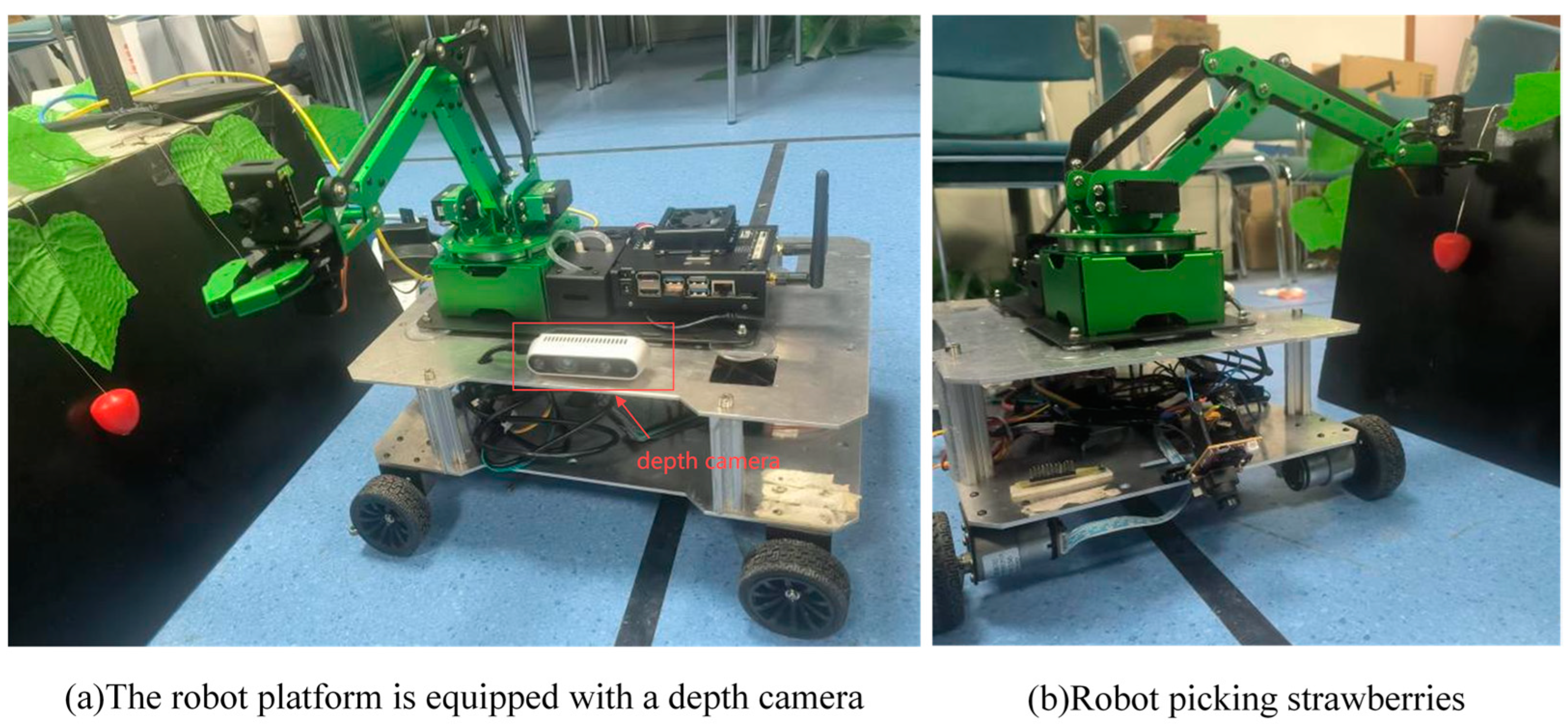 Agriculture 15 00372 g012