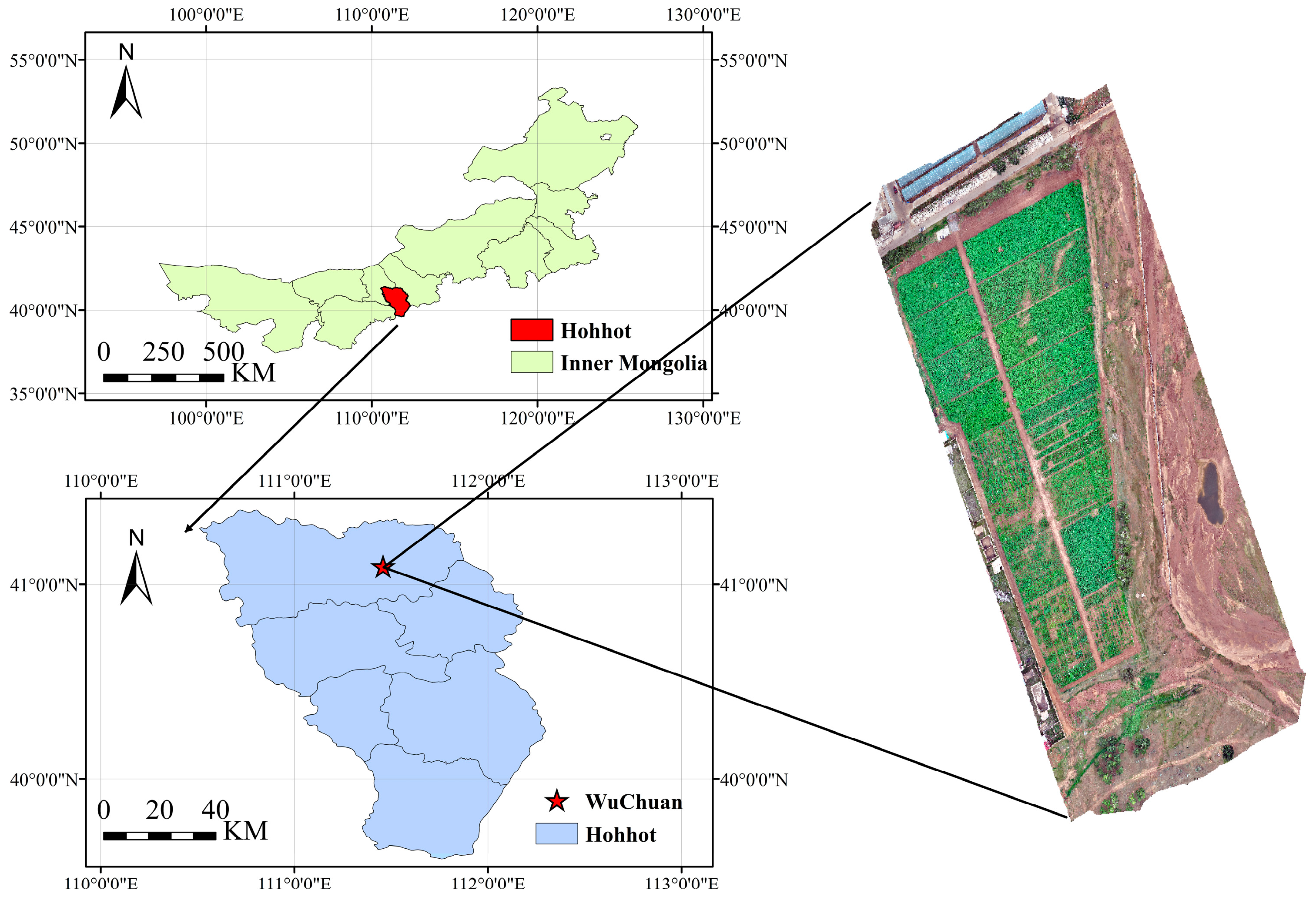 Agriculture 15 00375 g001