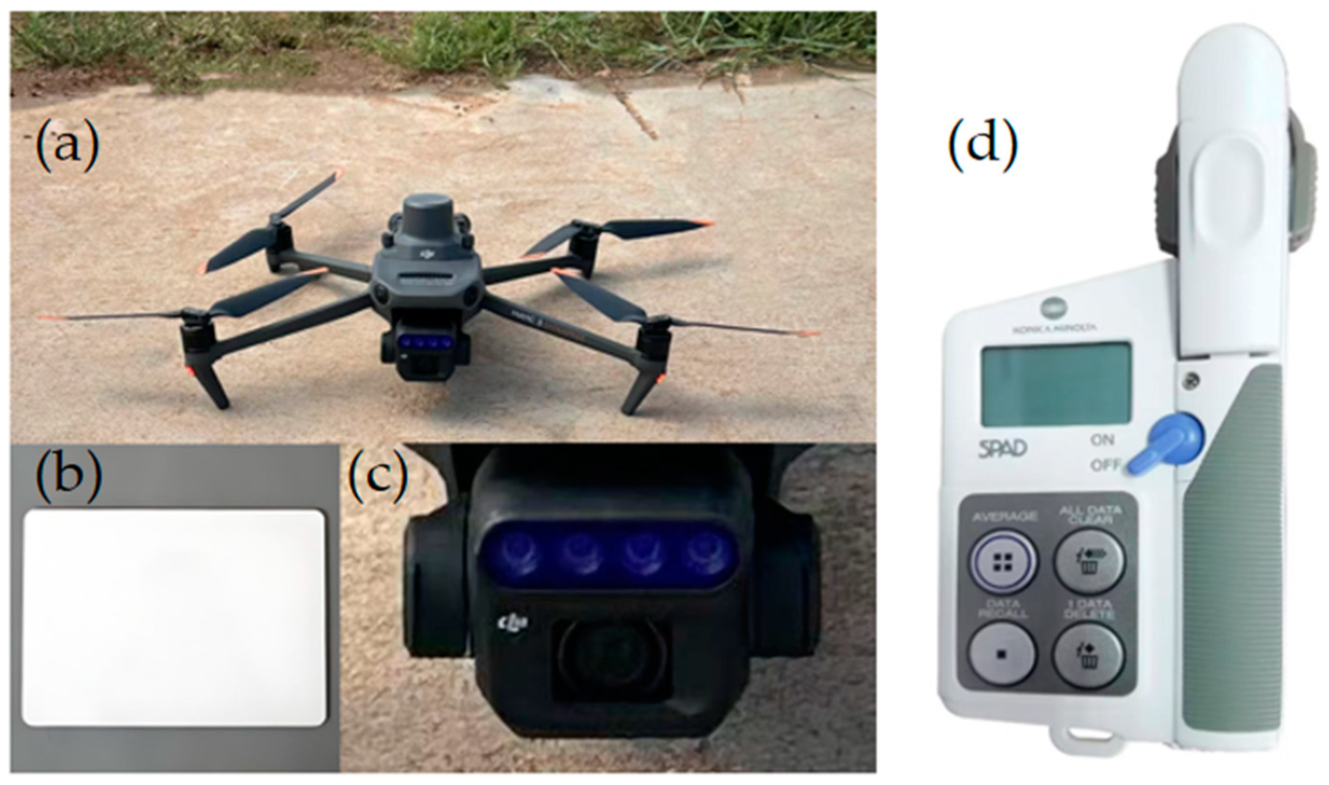 Agriculture 15 00375 g002