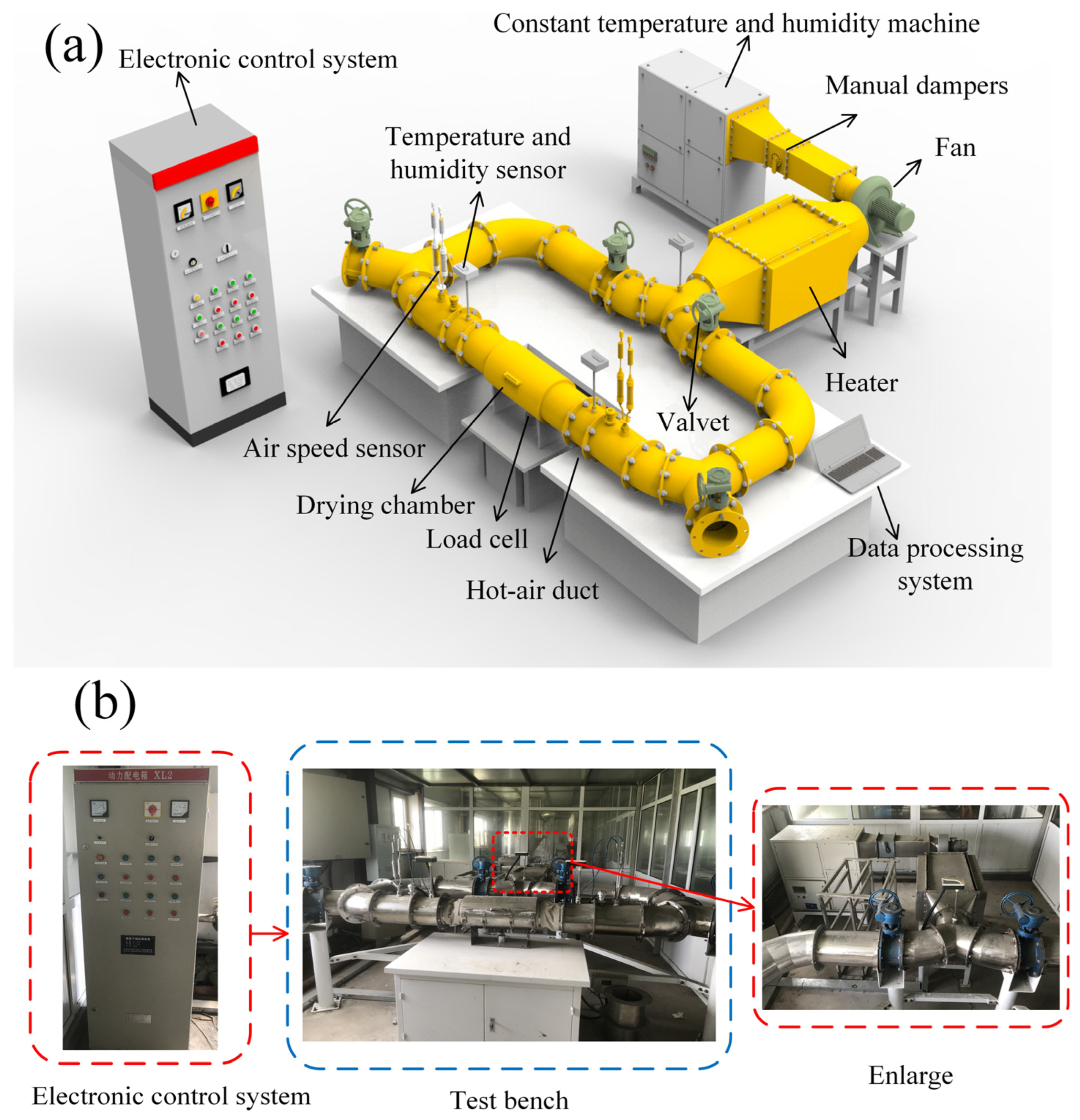 Agriculture 15 00383 g001