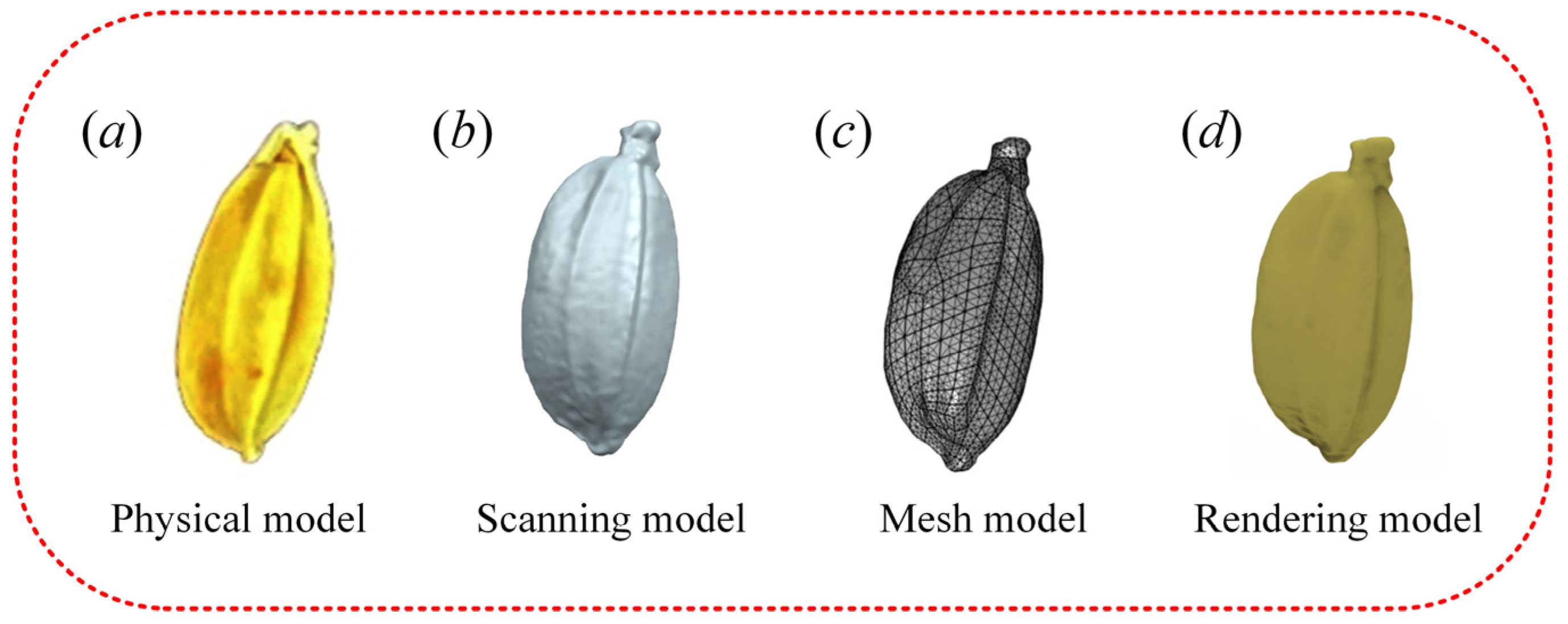 Agriculture 15 00383 g002