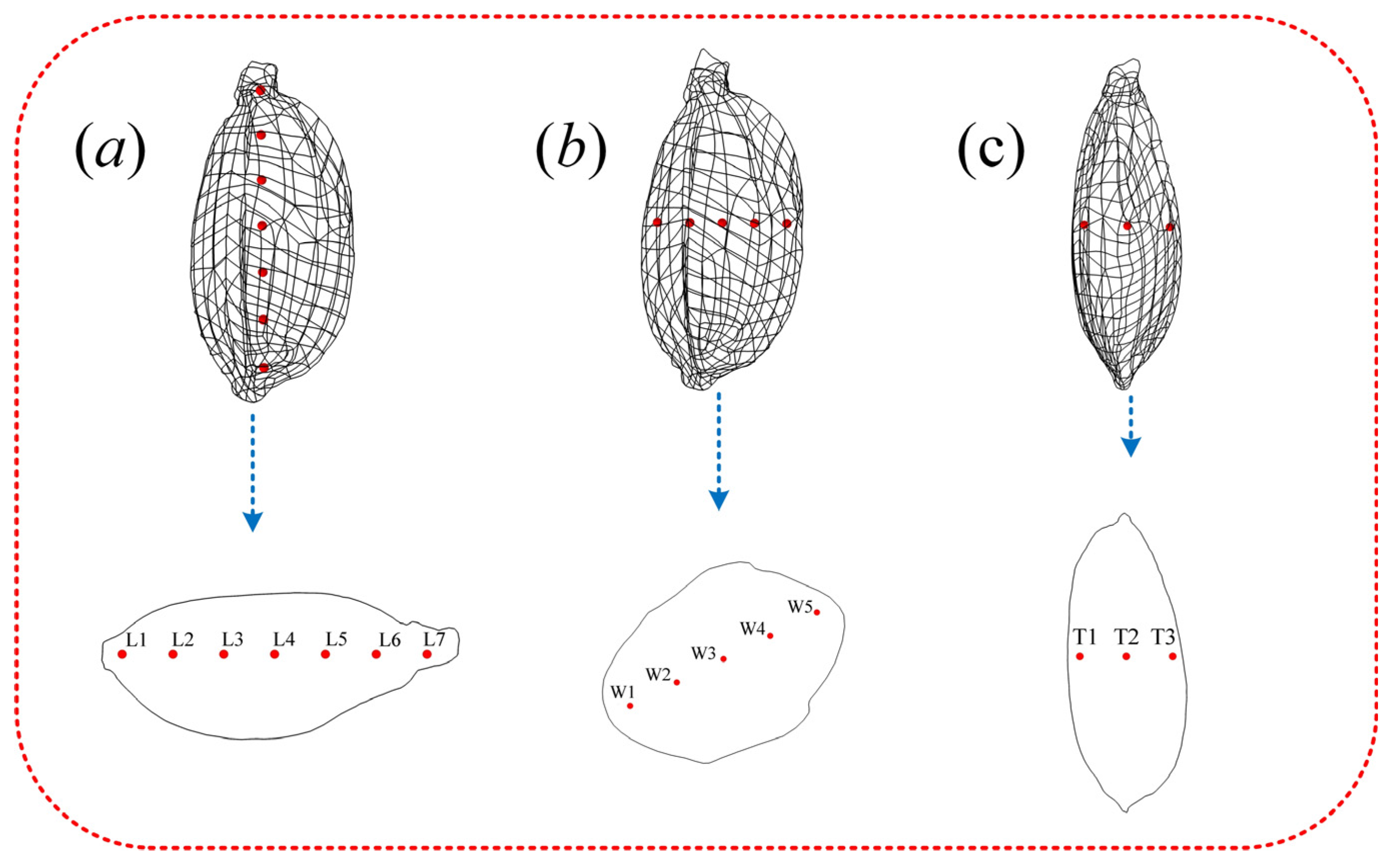 Agriculture 15 00383 g009