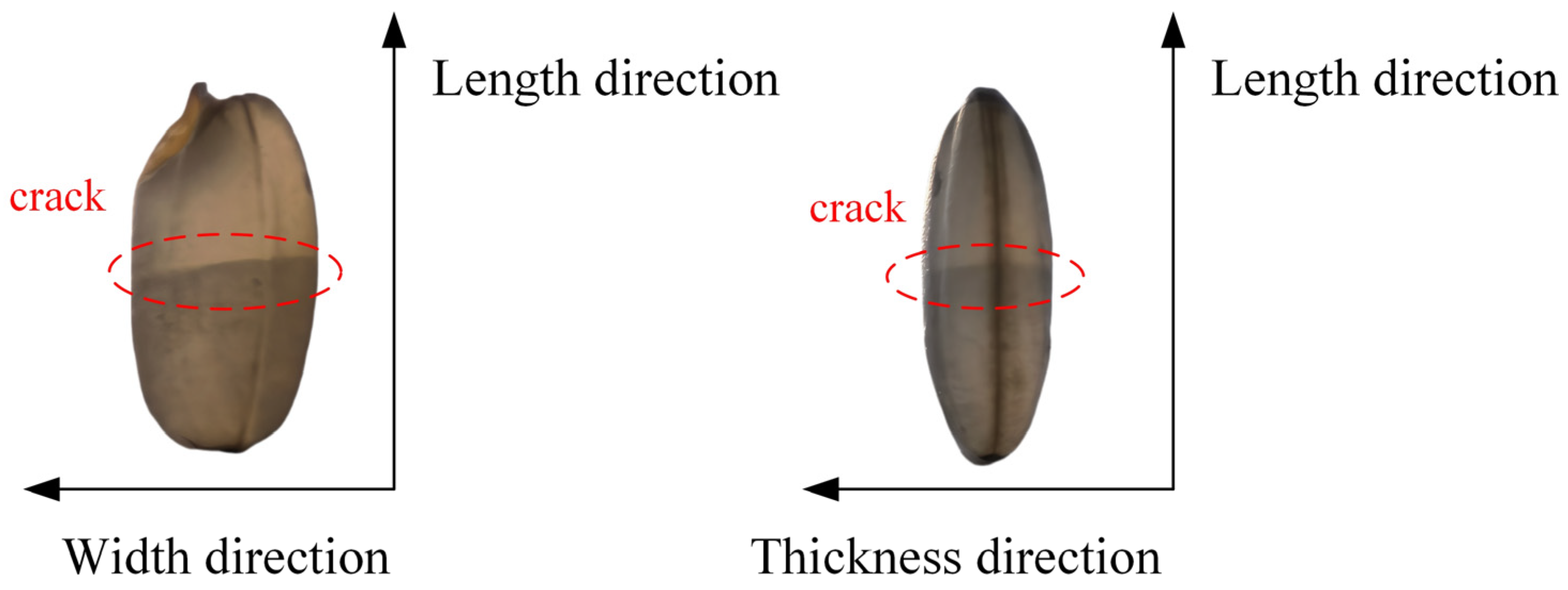 Agriculture 15 00383 g012
