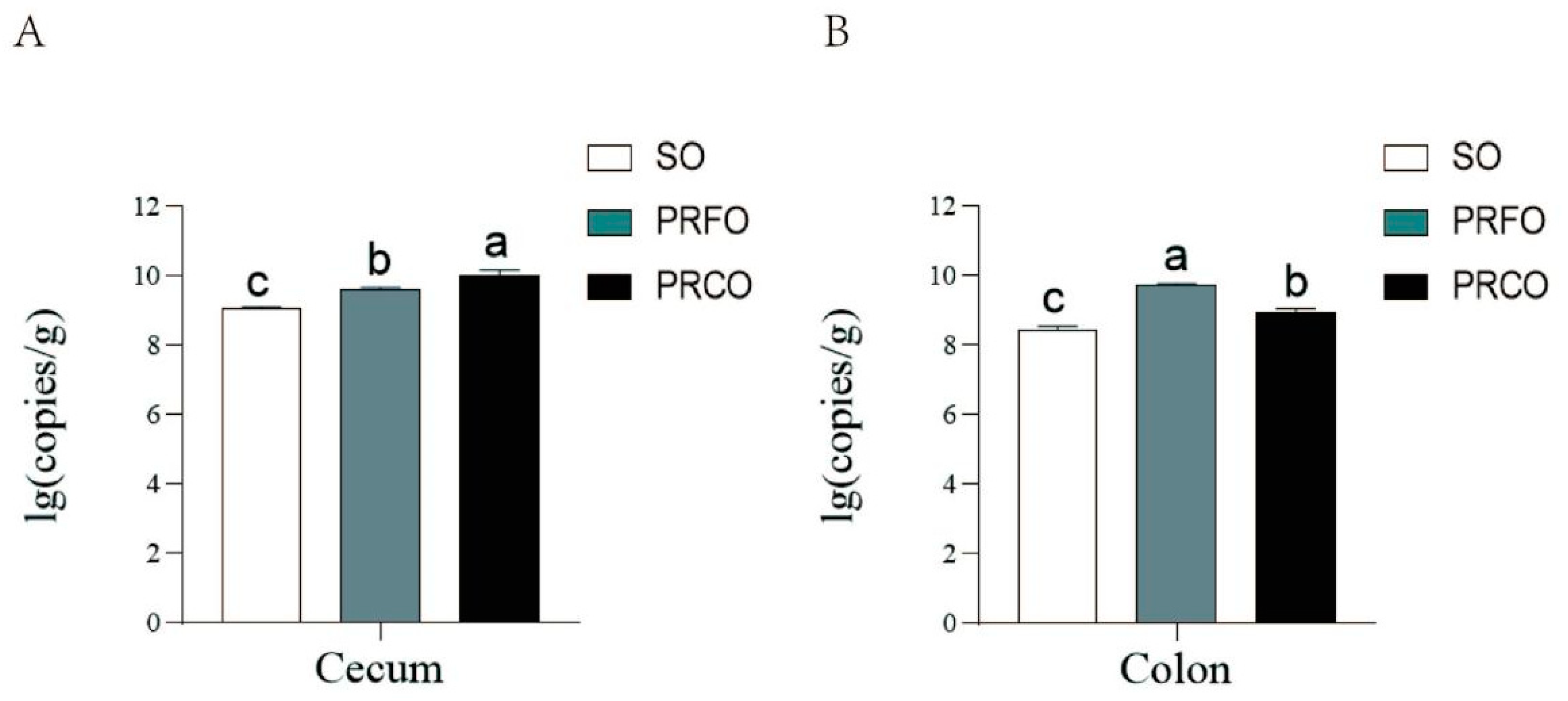 Agriculture 15 00384 g001