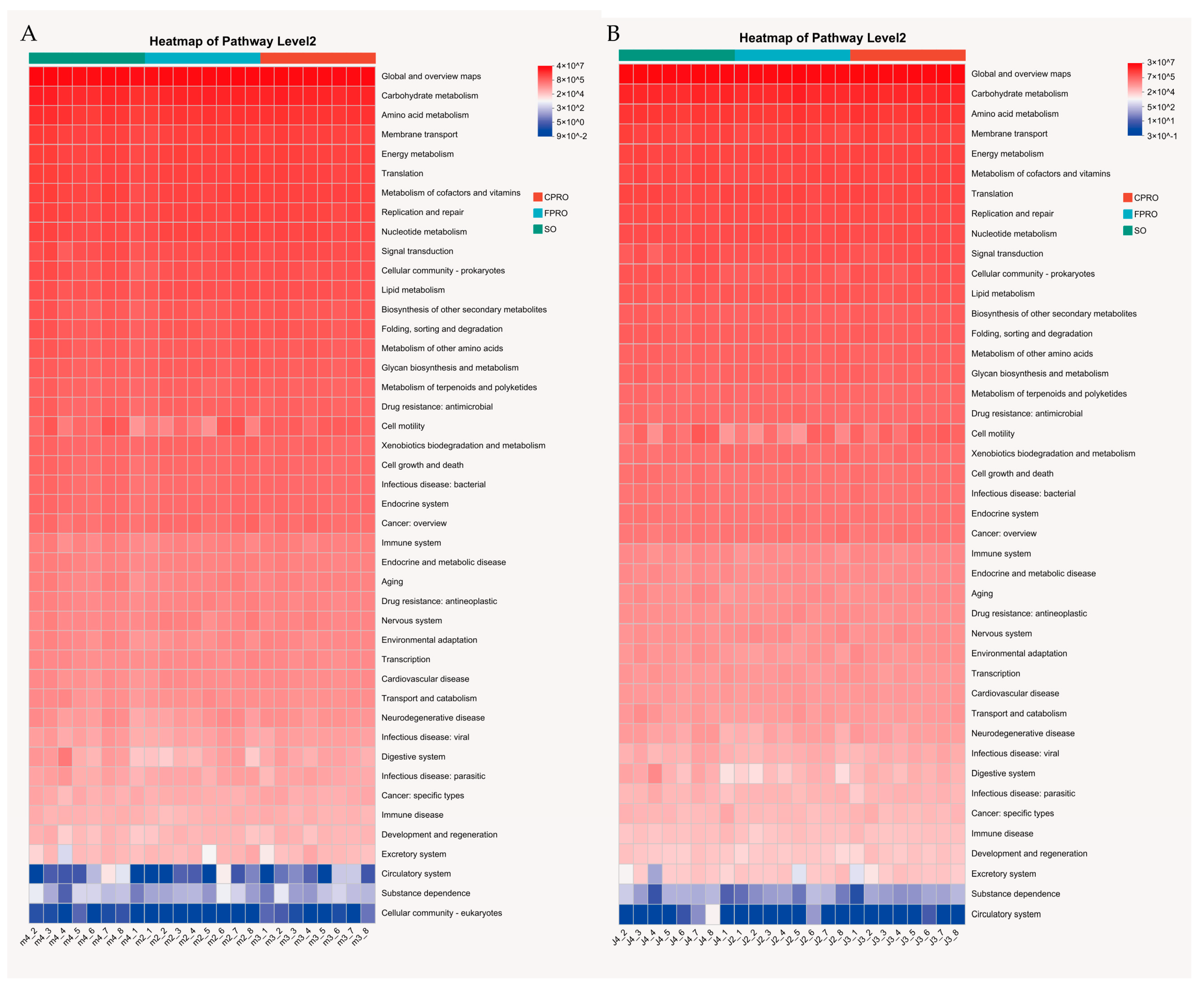 Agriculture 15 00384 g008