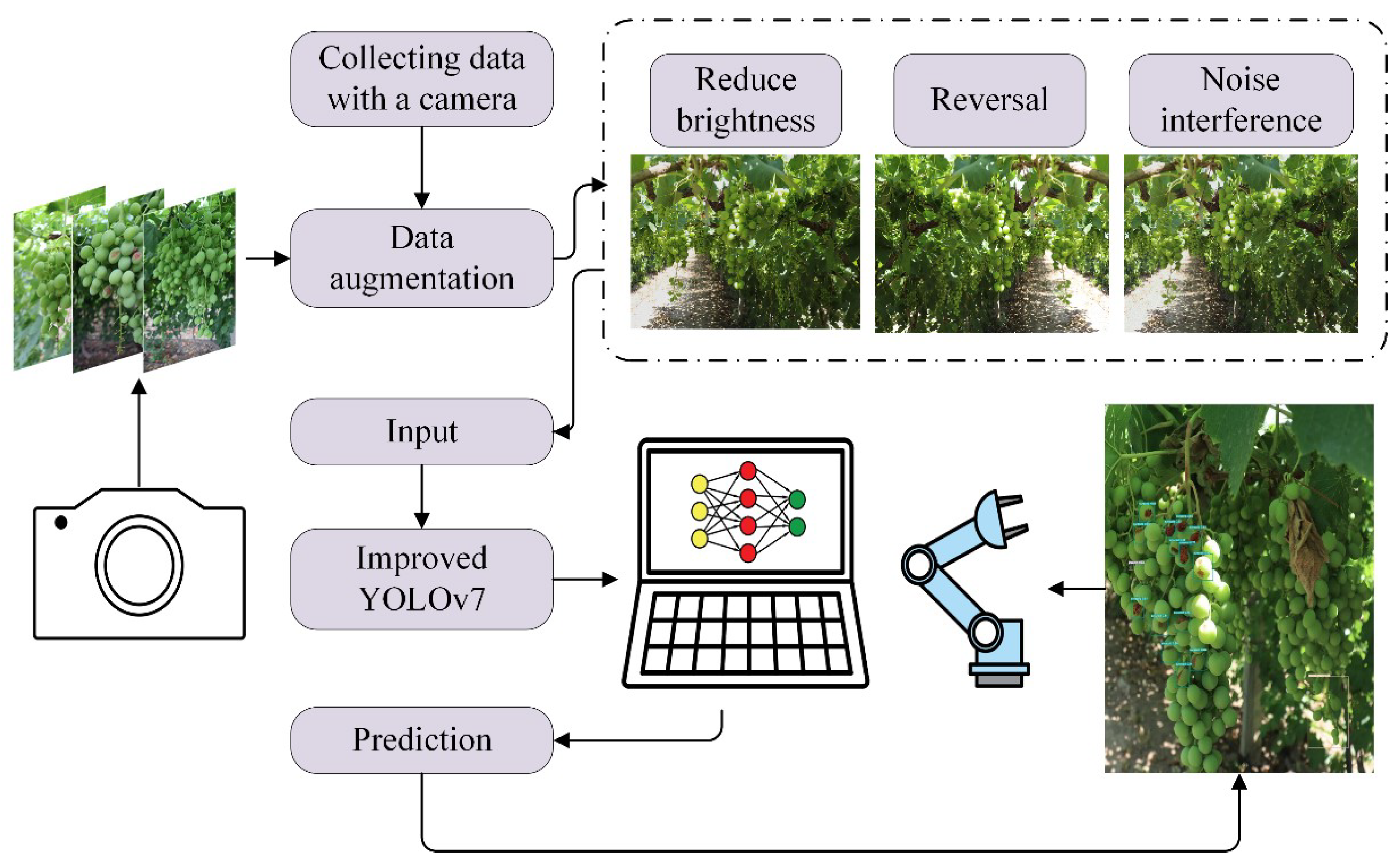 Agriculture 15 00387 g001