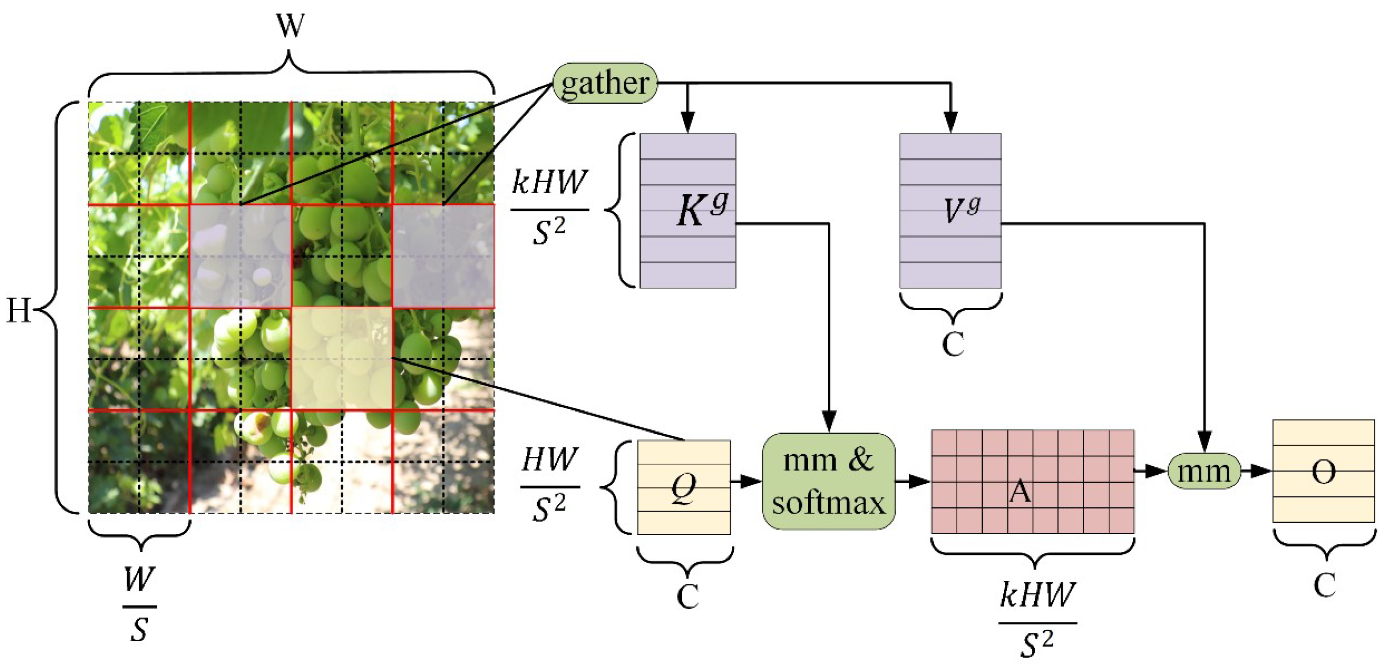 Agriculture 15 00387 g005