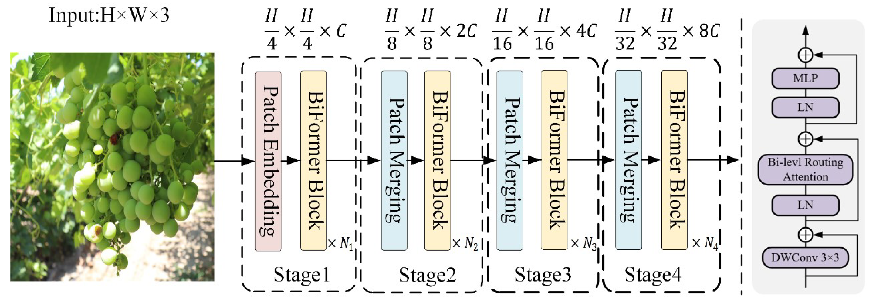 Agriculture 15 00387 g006