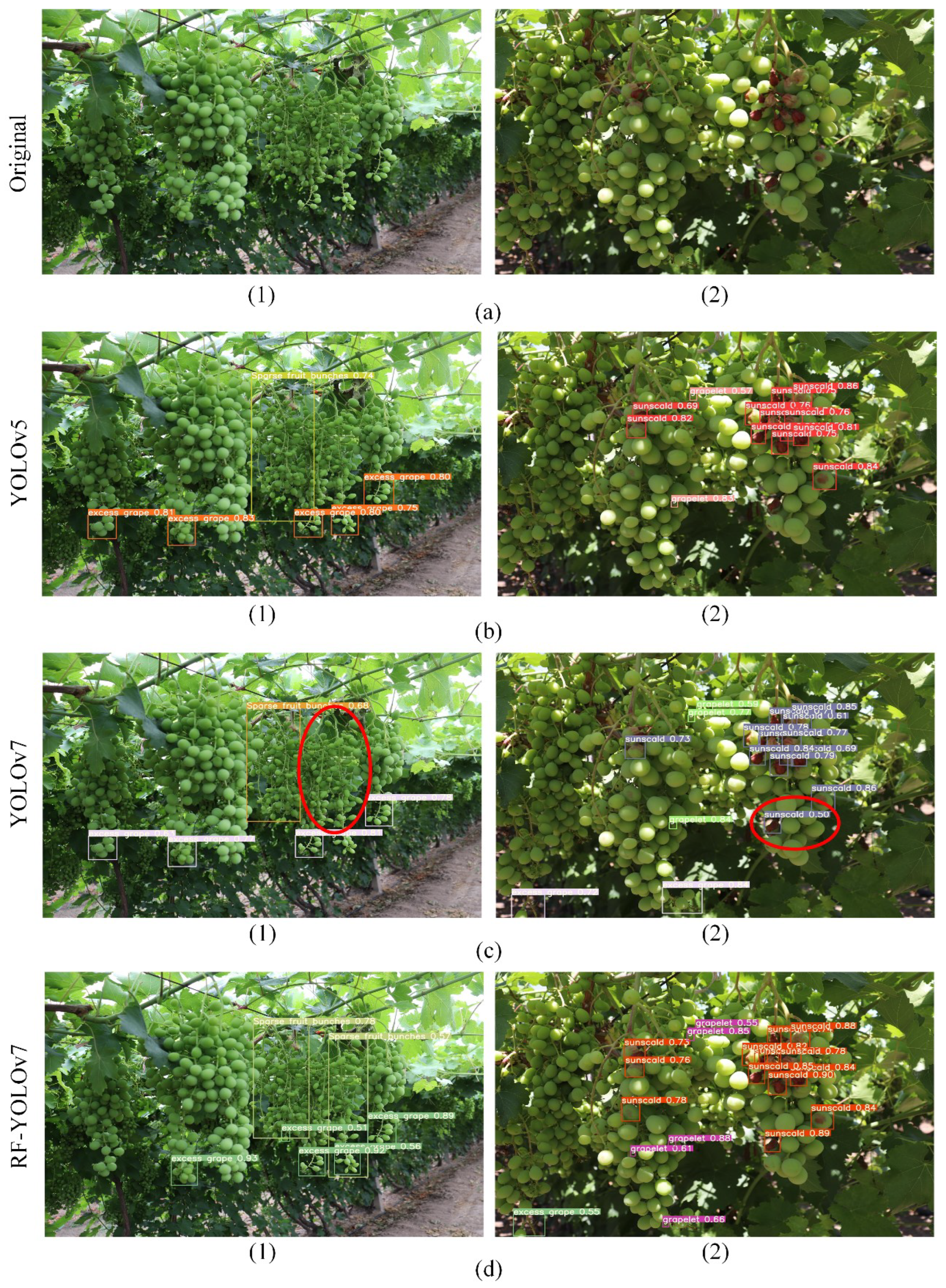 Agriculture 15 00387 g007