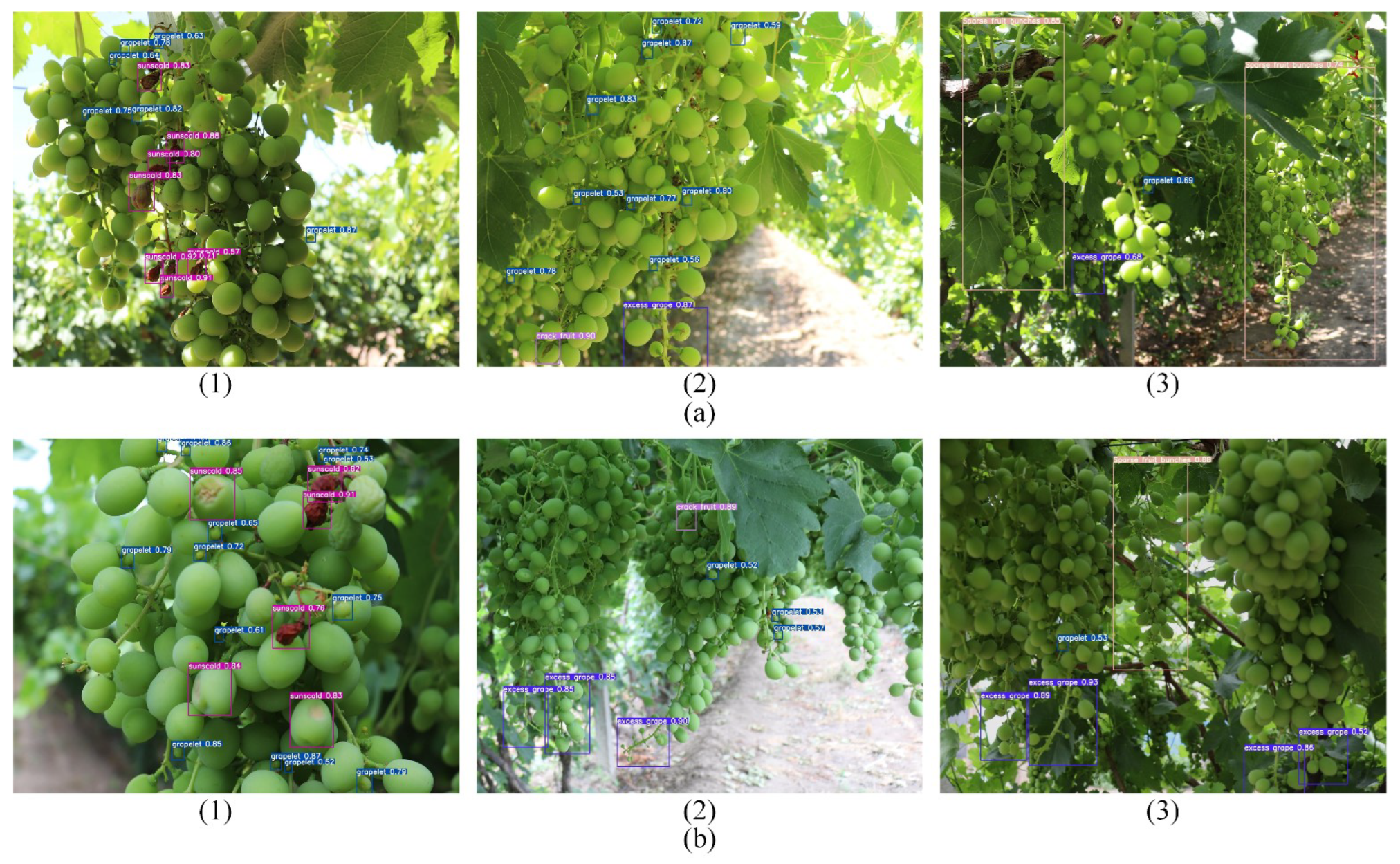 Agriculture 15 00387 g009