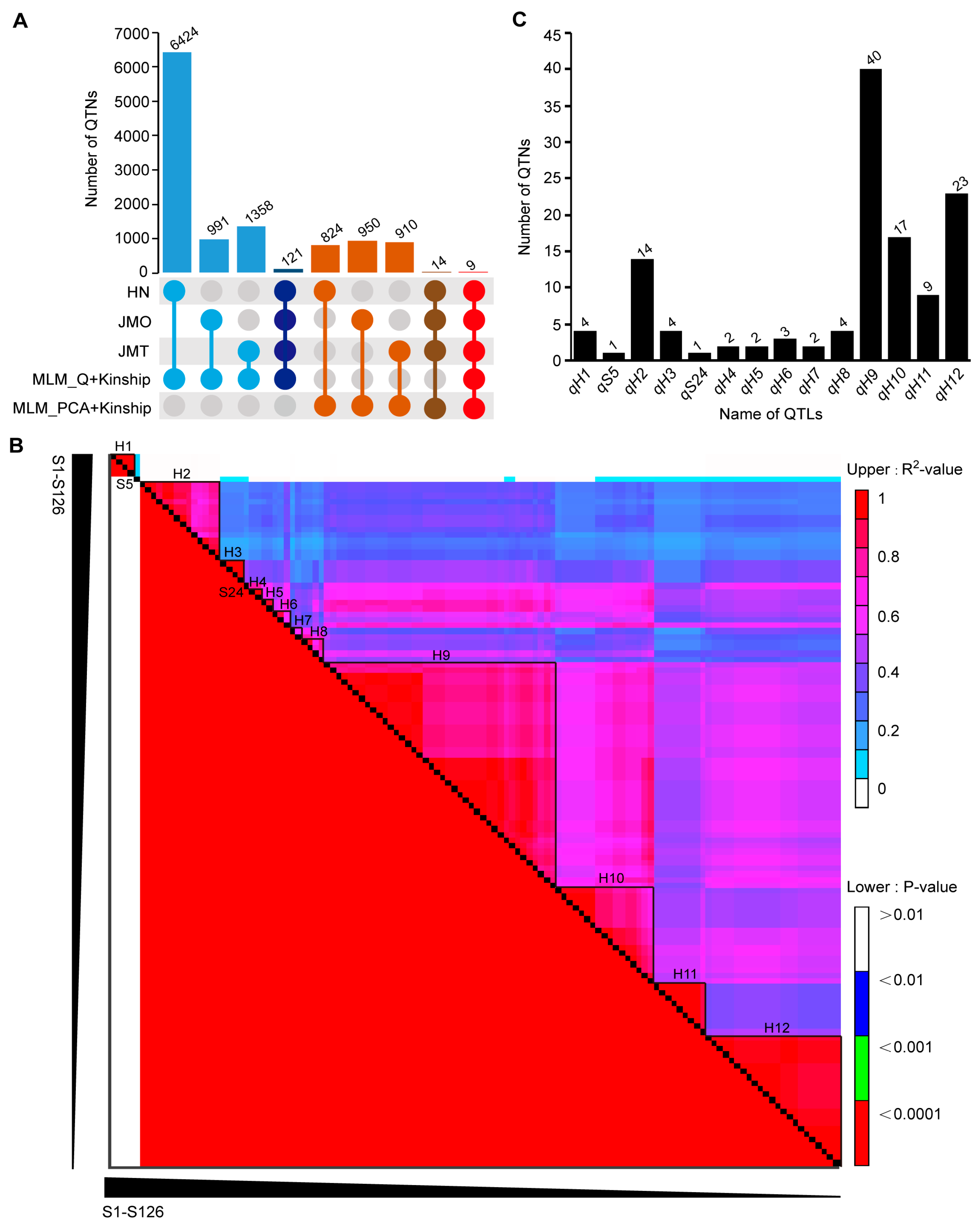 Agriculture 15 00389 g001