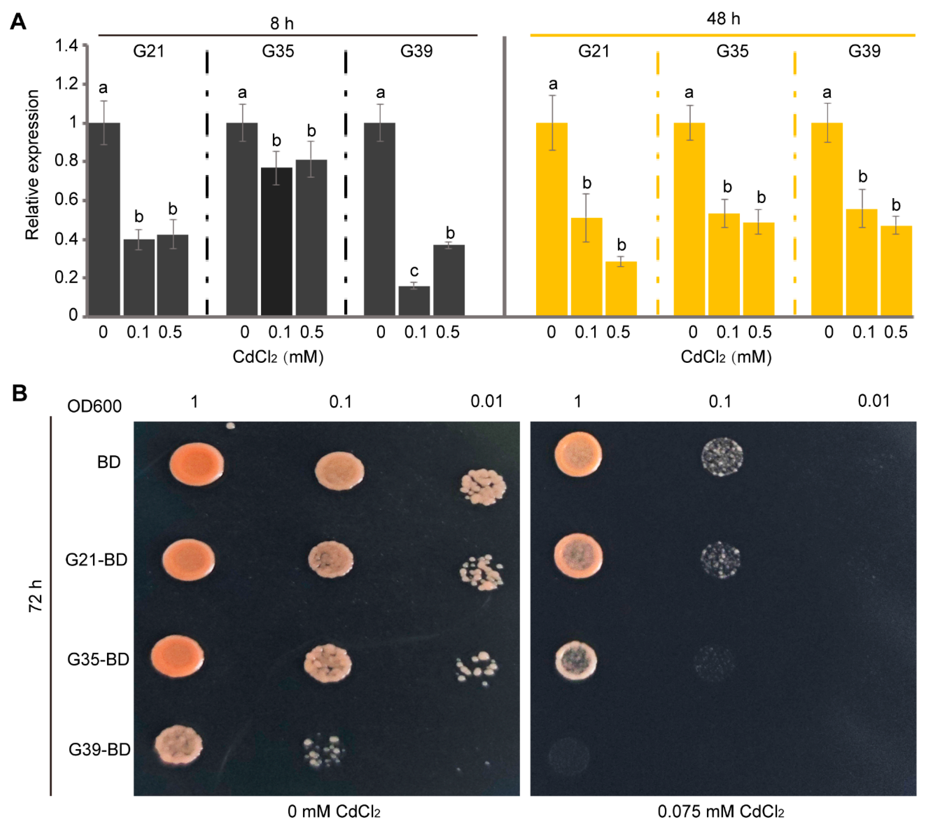 Agriculture 15 00389 g003