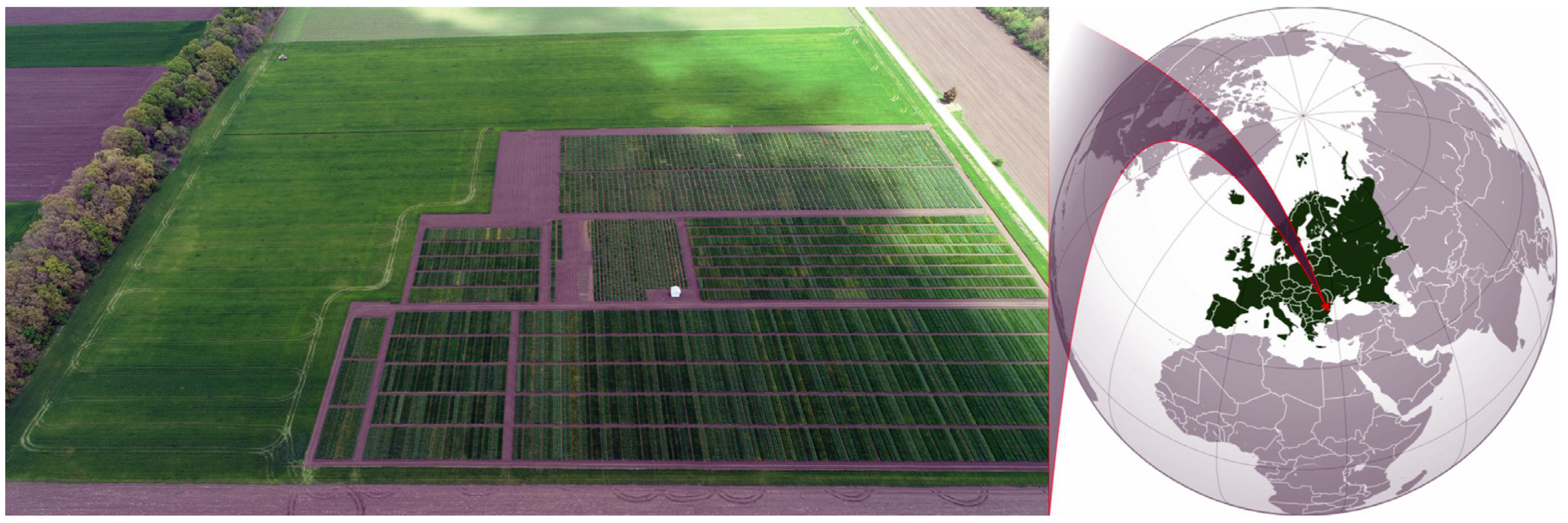 Agriculture 15 00394 g001