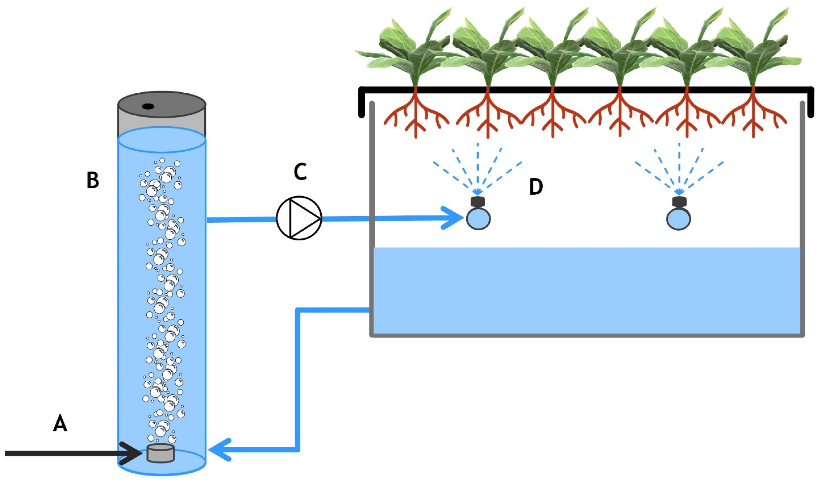 Agriculture 15 00405 g002