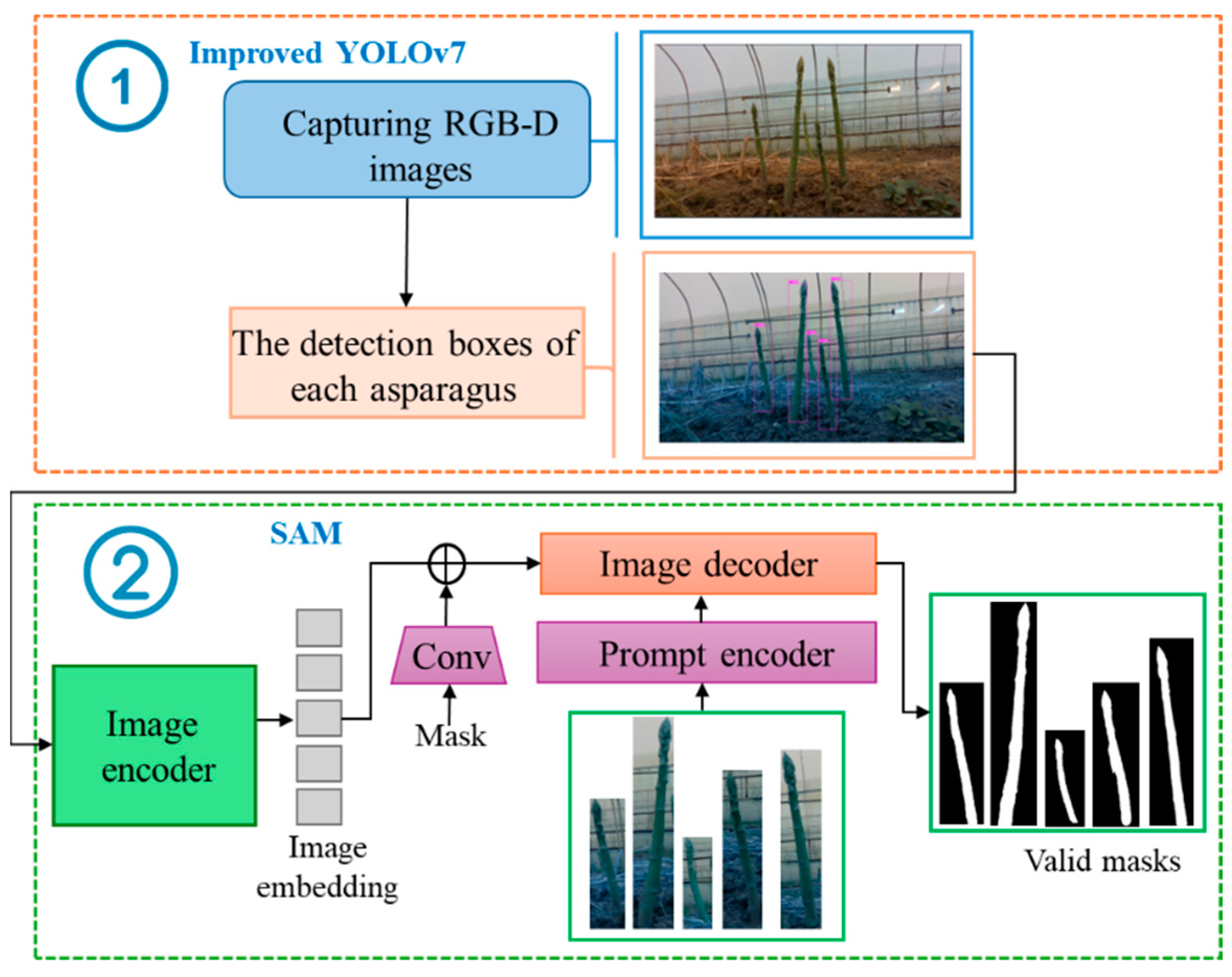 Agriculture 15 00407 g007