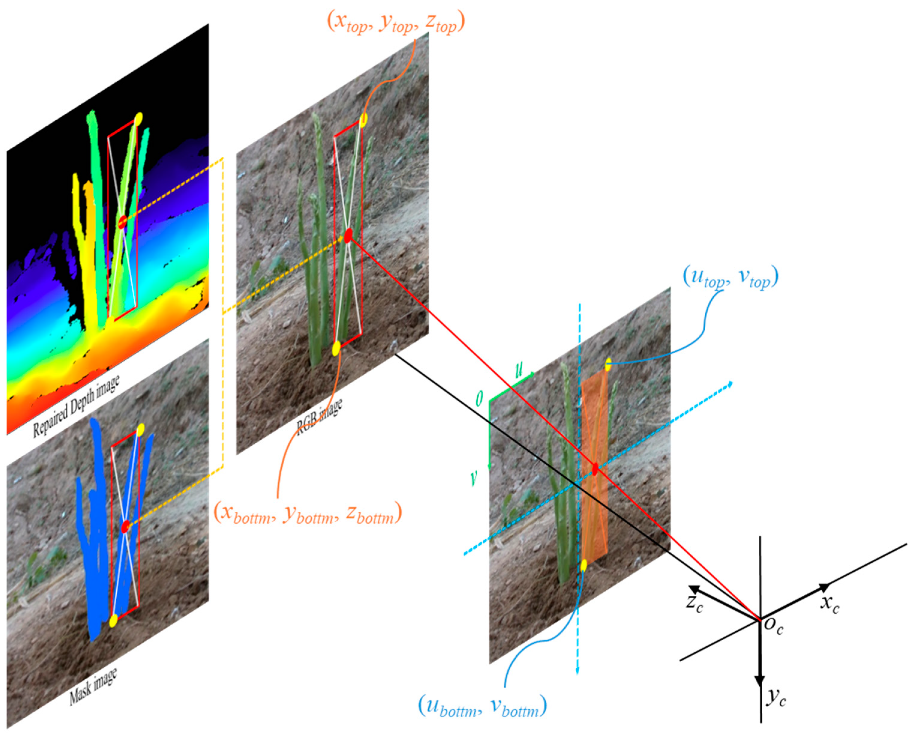 Agriculture 15 00407 g009