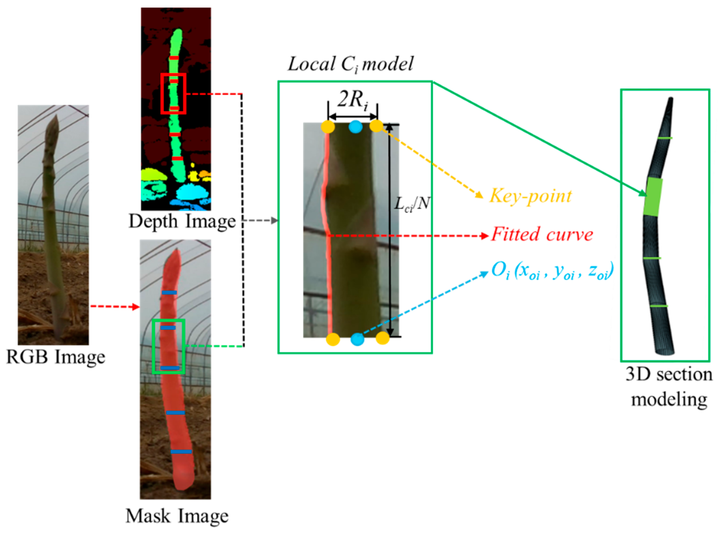 Agriculture 15 00407 g010
