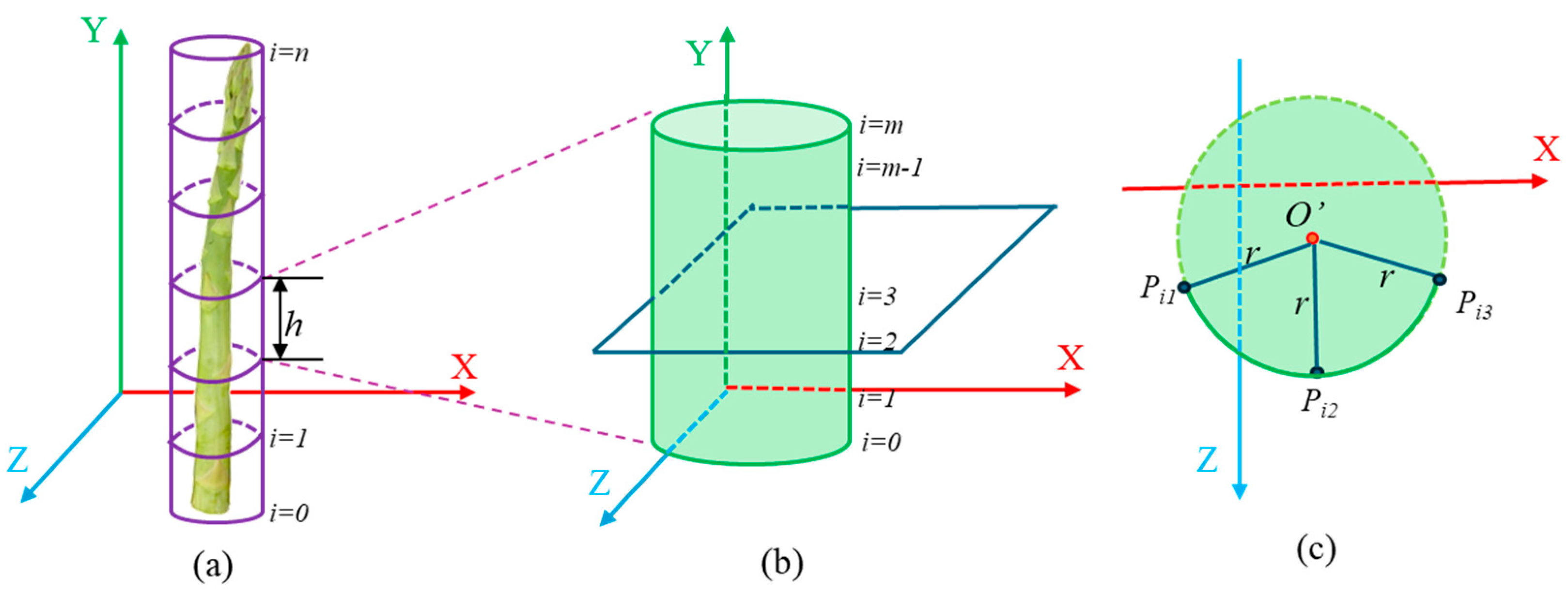Agriculture 15 00407 g012