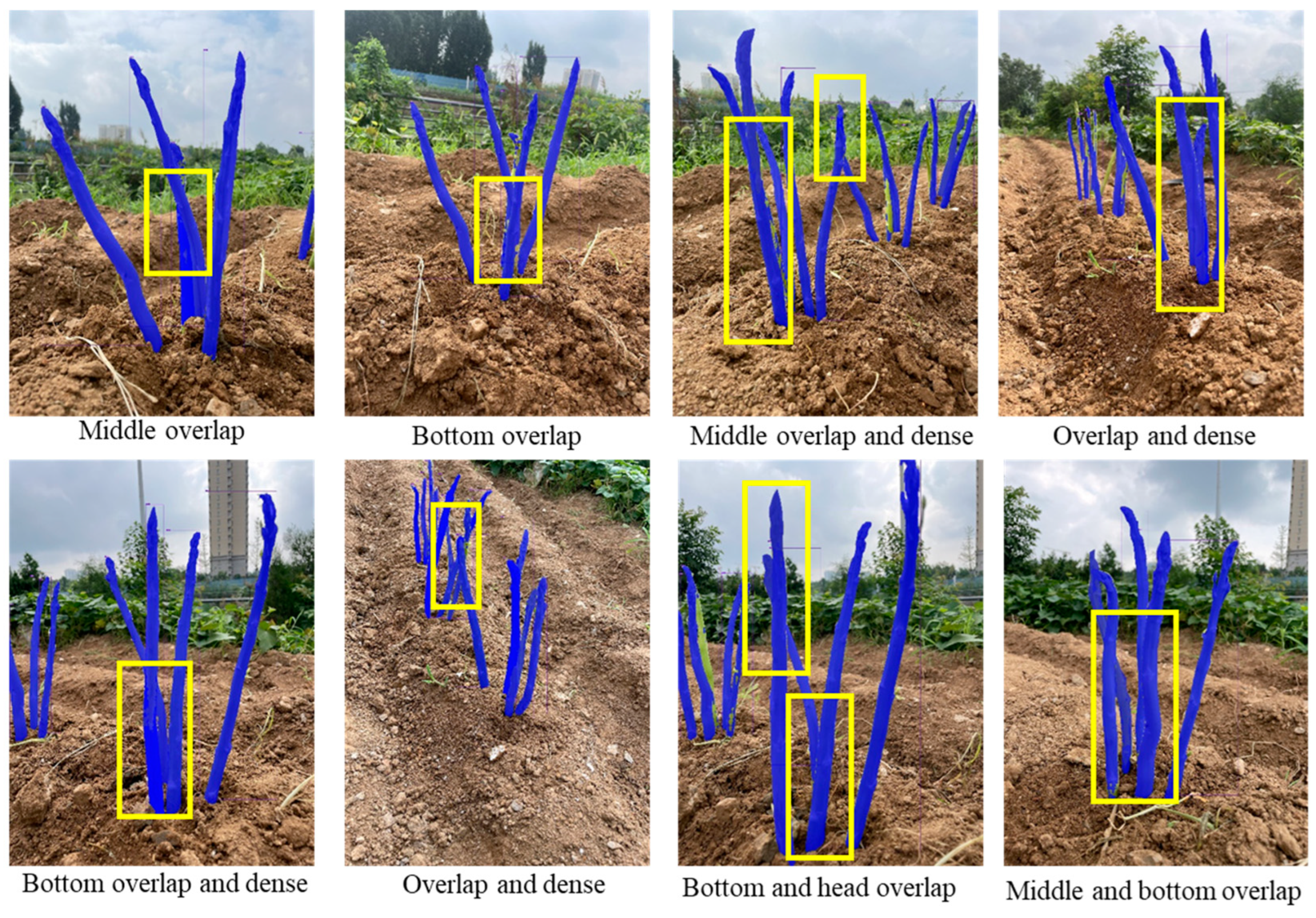 Agriculture 15 00407 g014