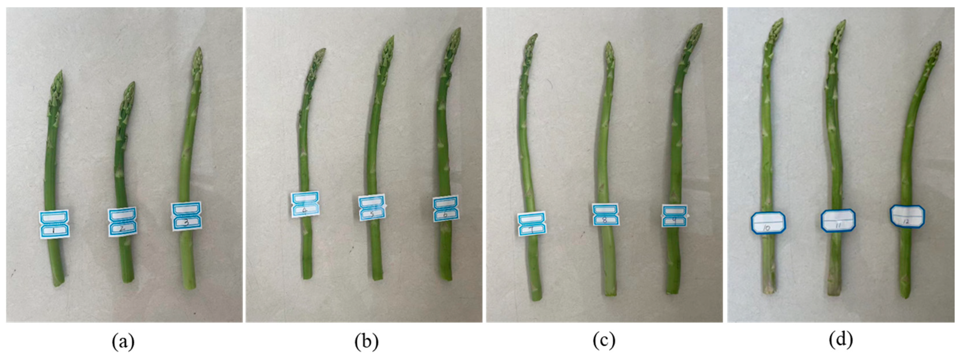 Agriculture 15 00407 g016